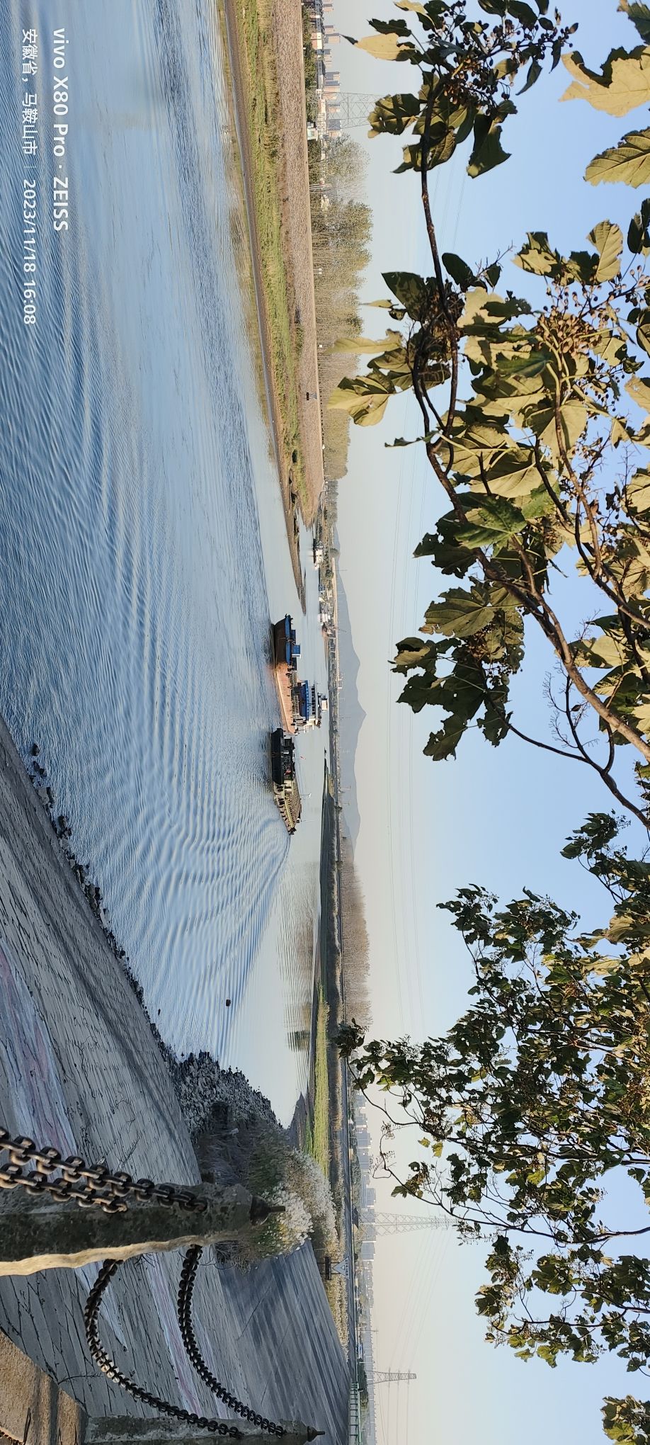 金柱塔旅行图片 3