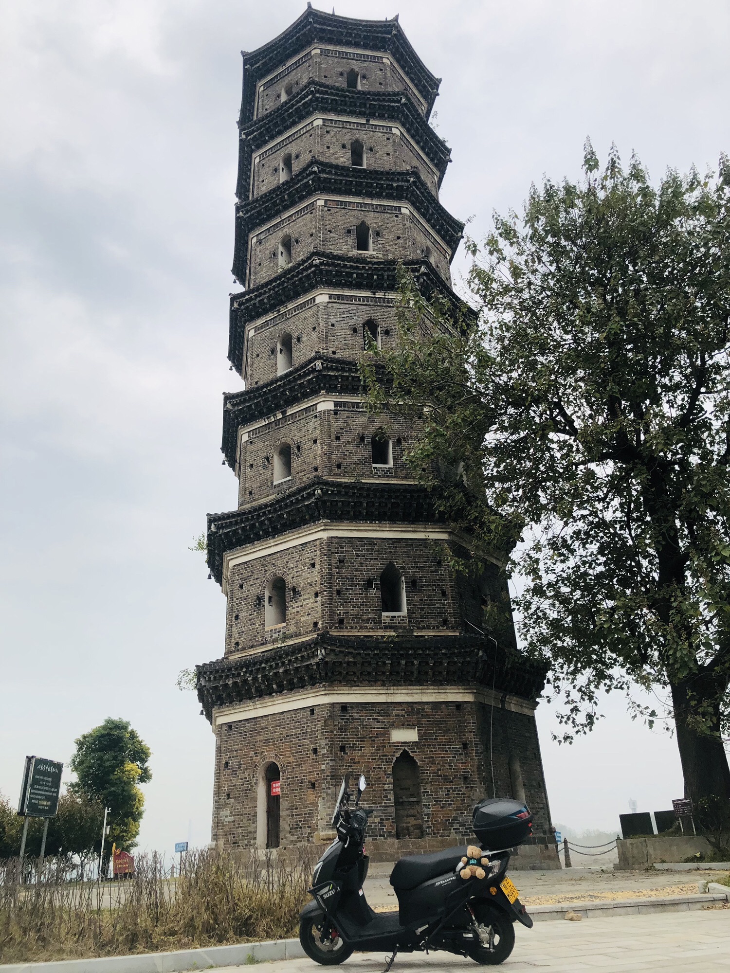 金柱塔旅行图片 1