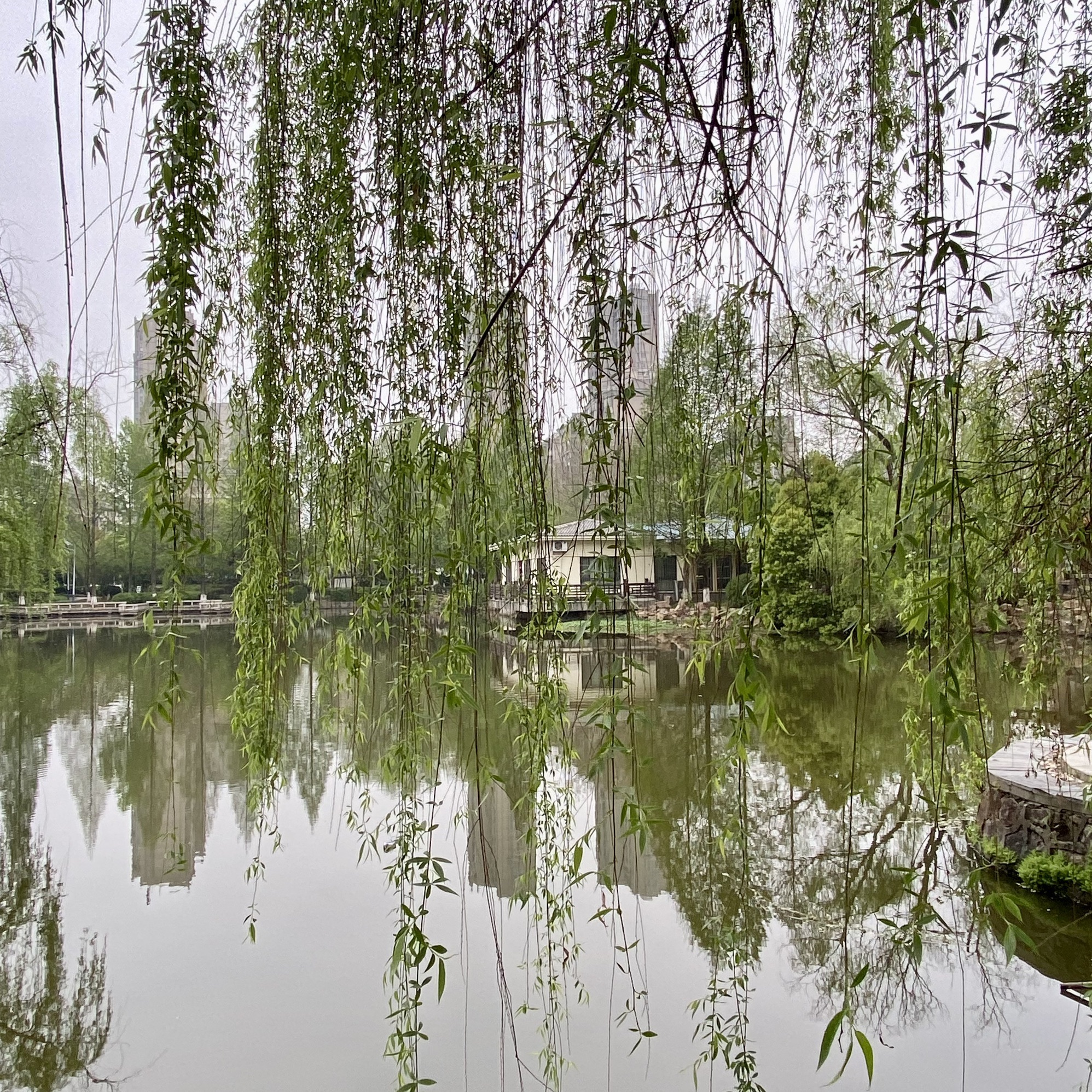 太白公园旅行图片 3