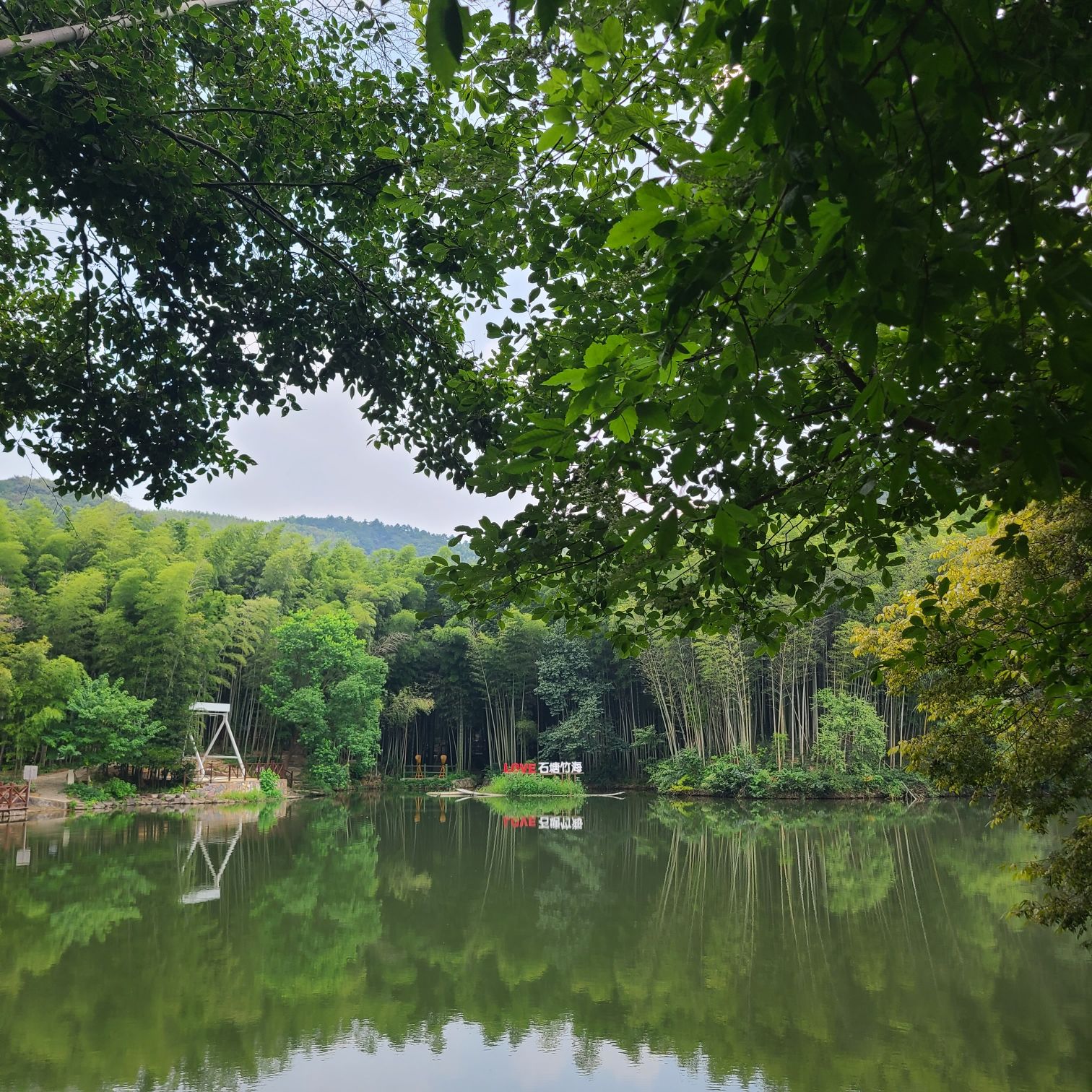 石塘竹海景区旅行图片 1