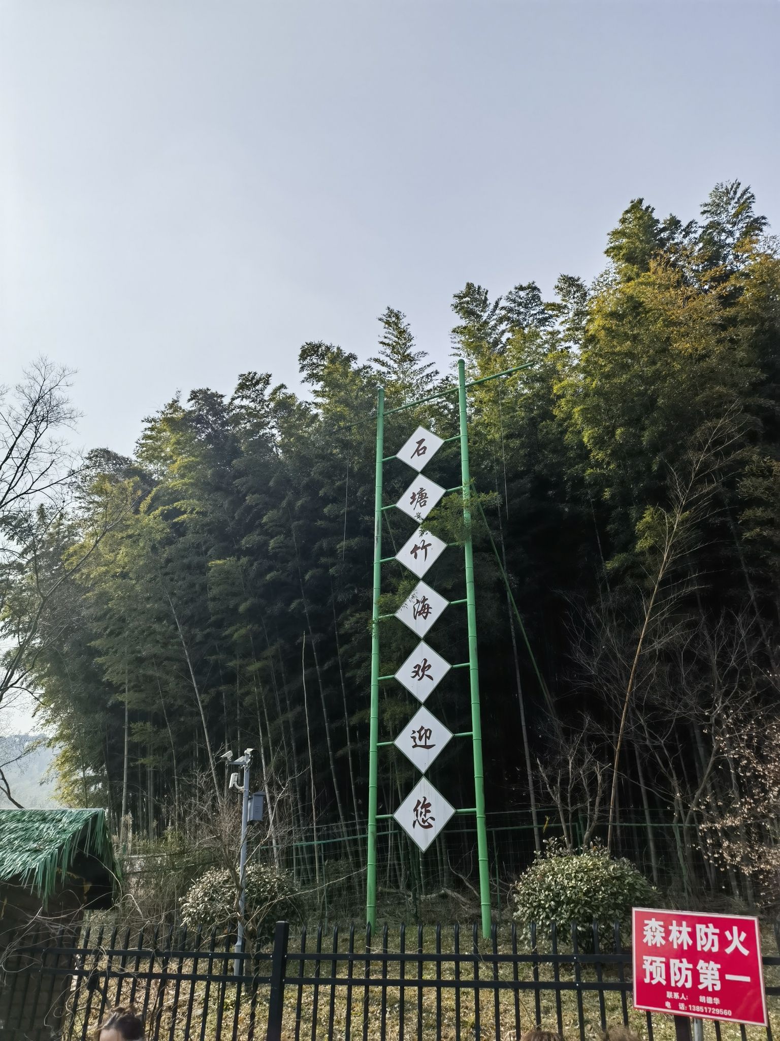 石塘竹海景区旅行图片 1