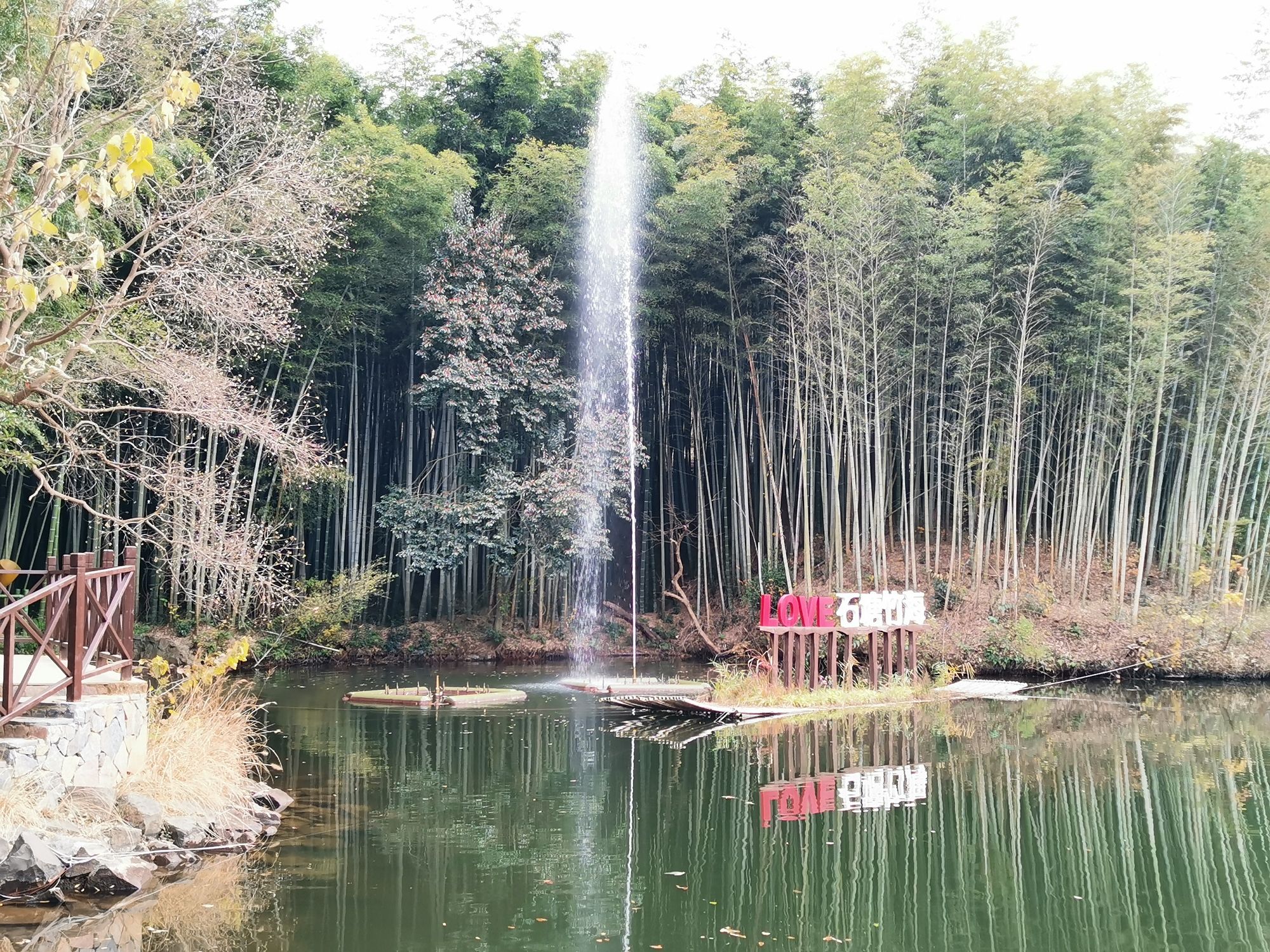 石塘竹海景区旅行图片 3