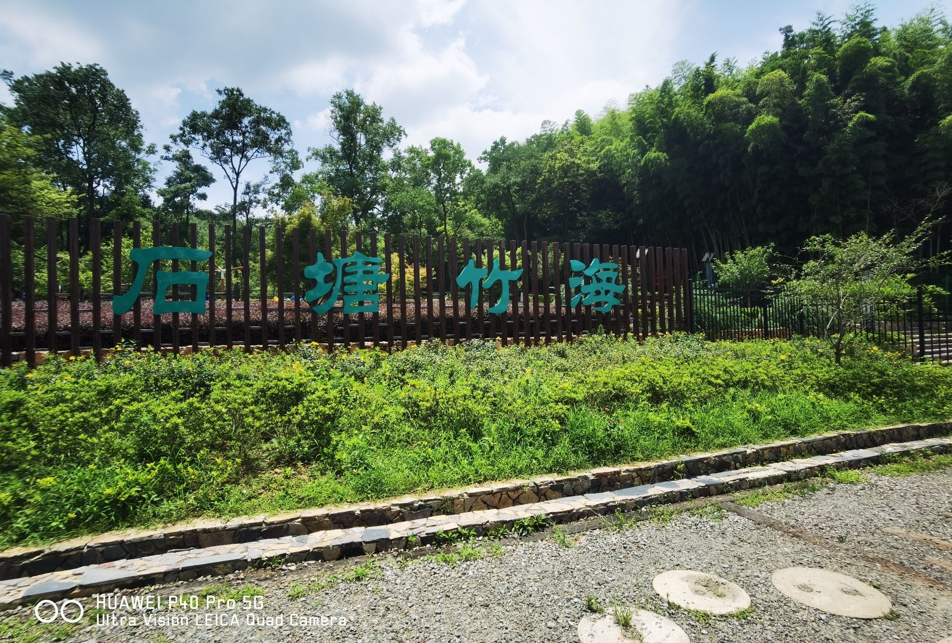 石塘竹海景区旅行图片 3