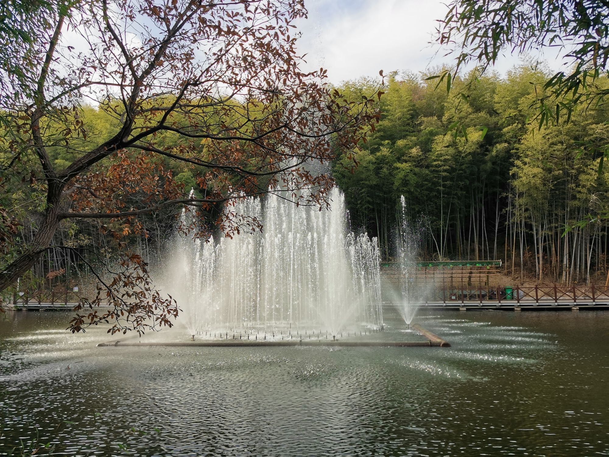 石塘竹海景区旅行图片 1