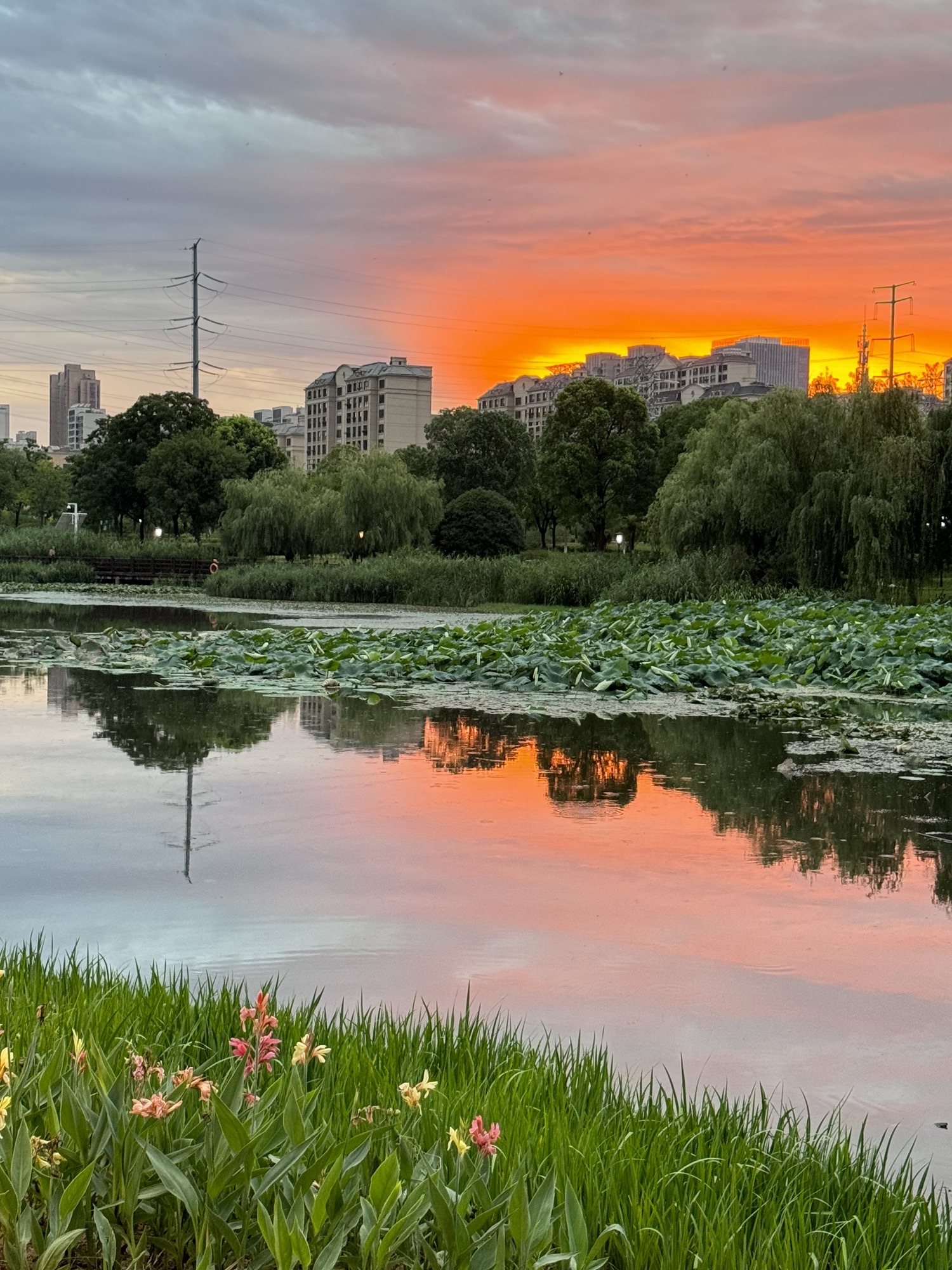 On-site photo 2 of 东湖公园