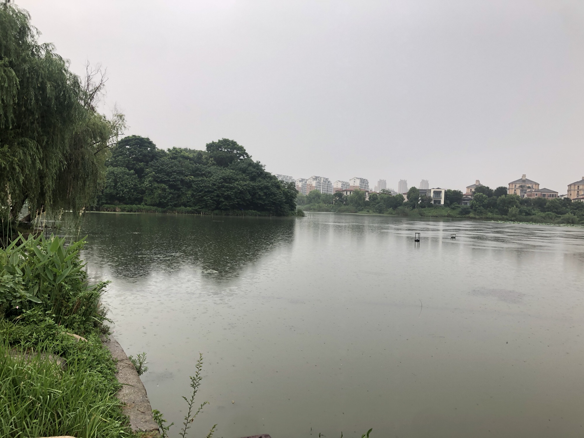 东湖公园旅行图片 3
