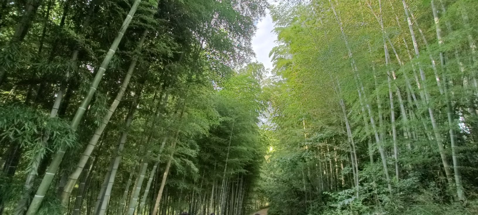 濮塘怪坡旅行图片 1