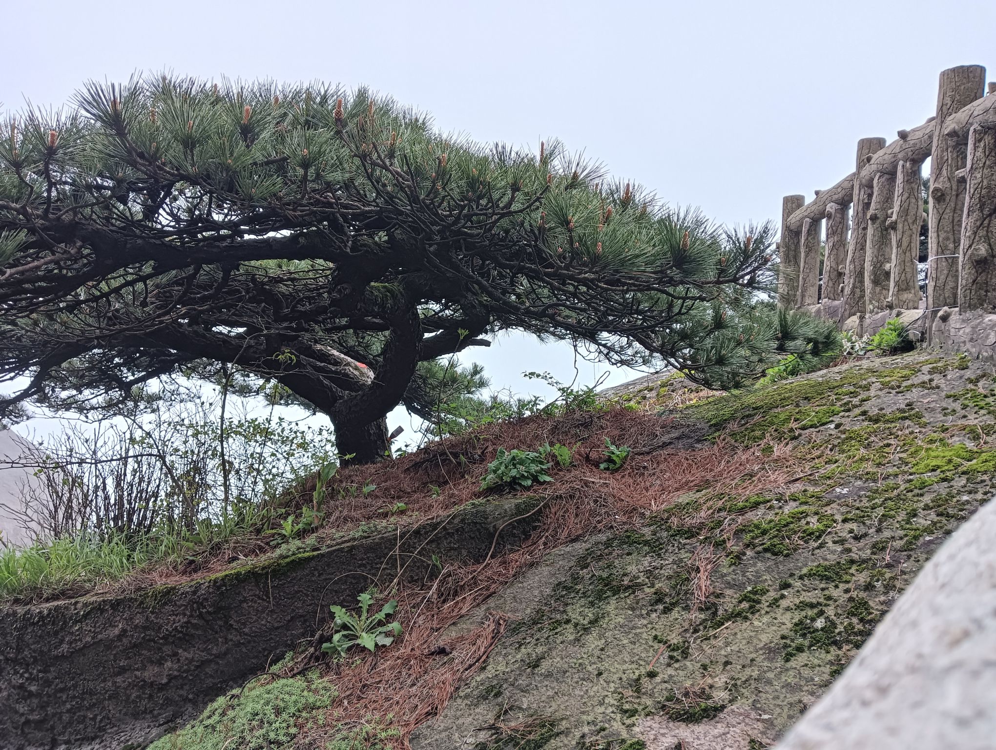 天柱山世界地质公园旅行图片 3