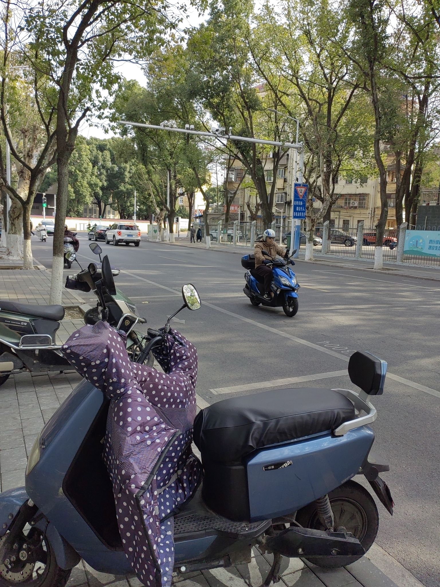 水上公园旅行图片 3