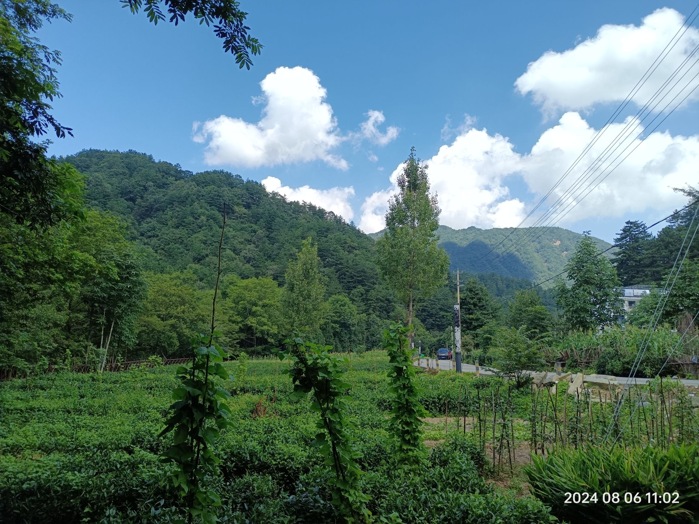 鹞落坪自然保护区旅行图片 3
