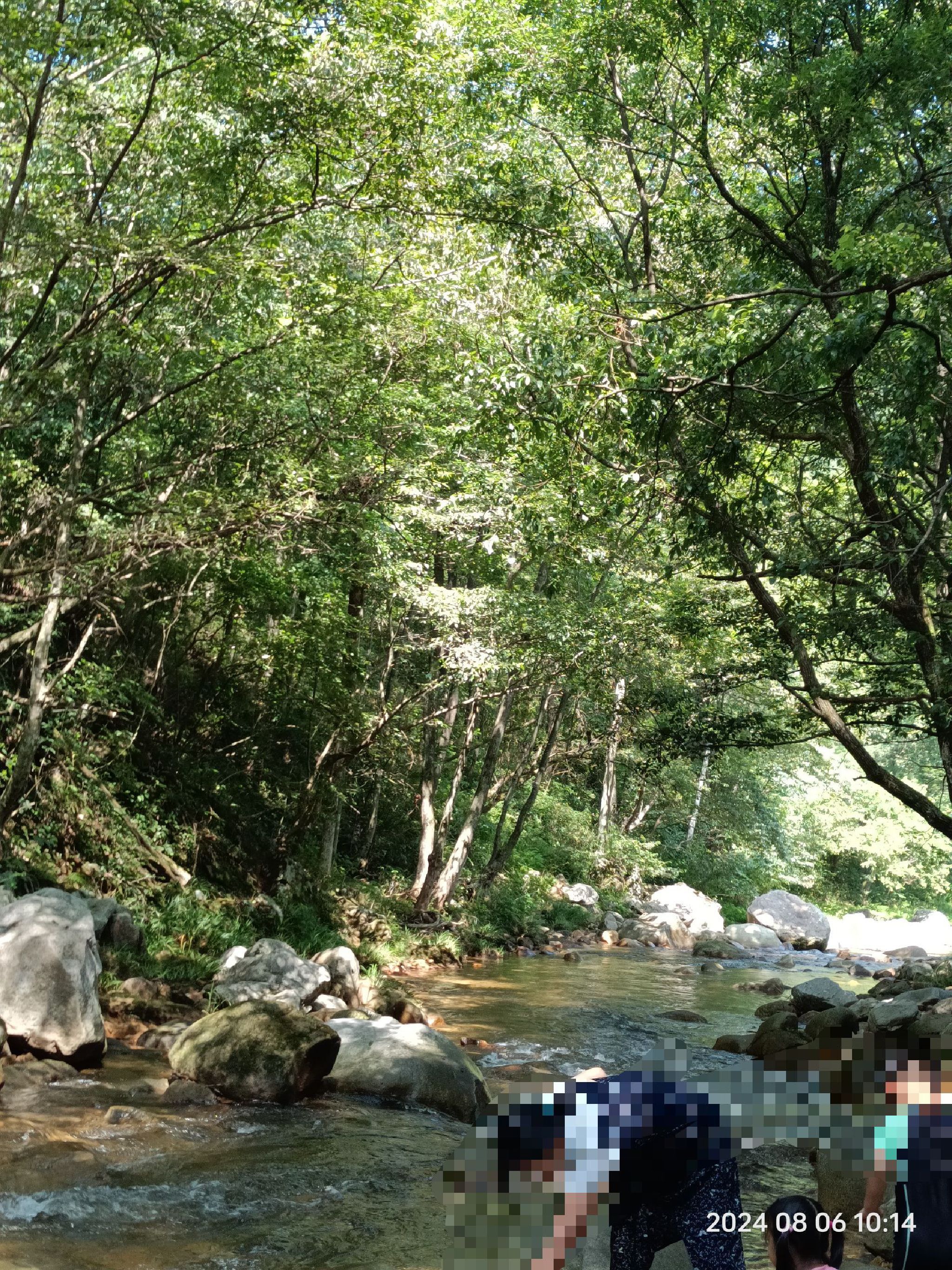 鹞落坪自然保护区旅行图片 1