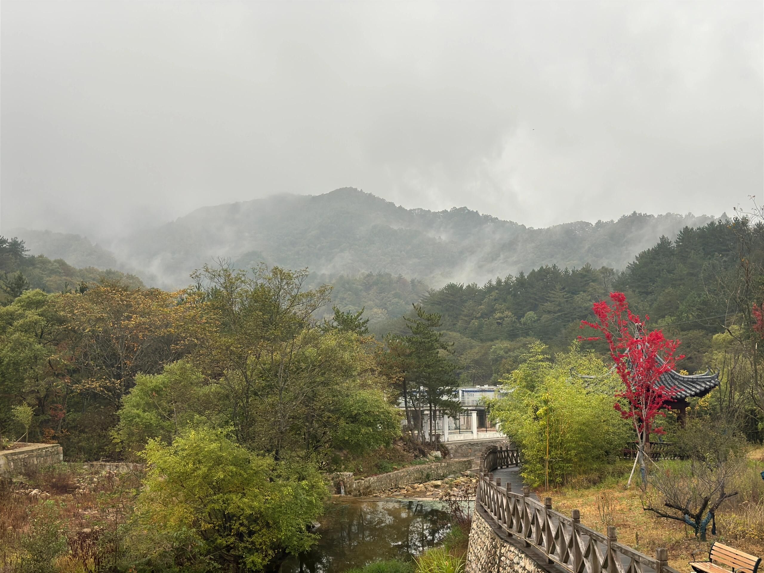 鹞落坪自然保护区旅行图片 3