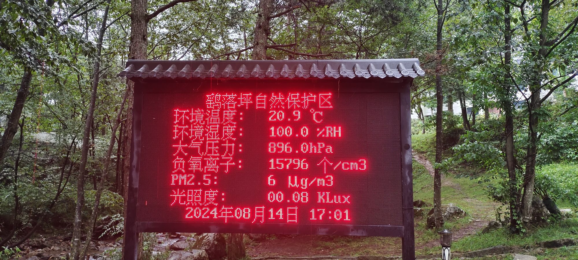 鹞落坪自然保护区旅行图片 1