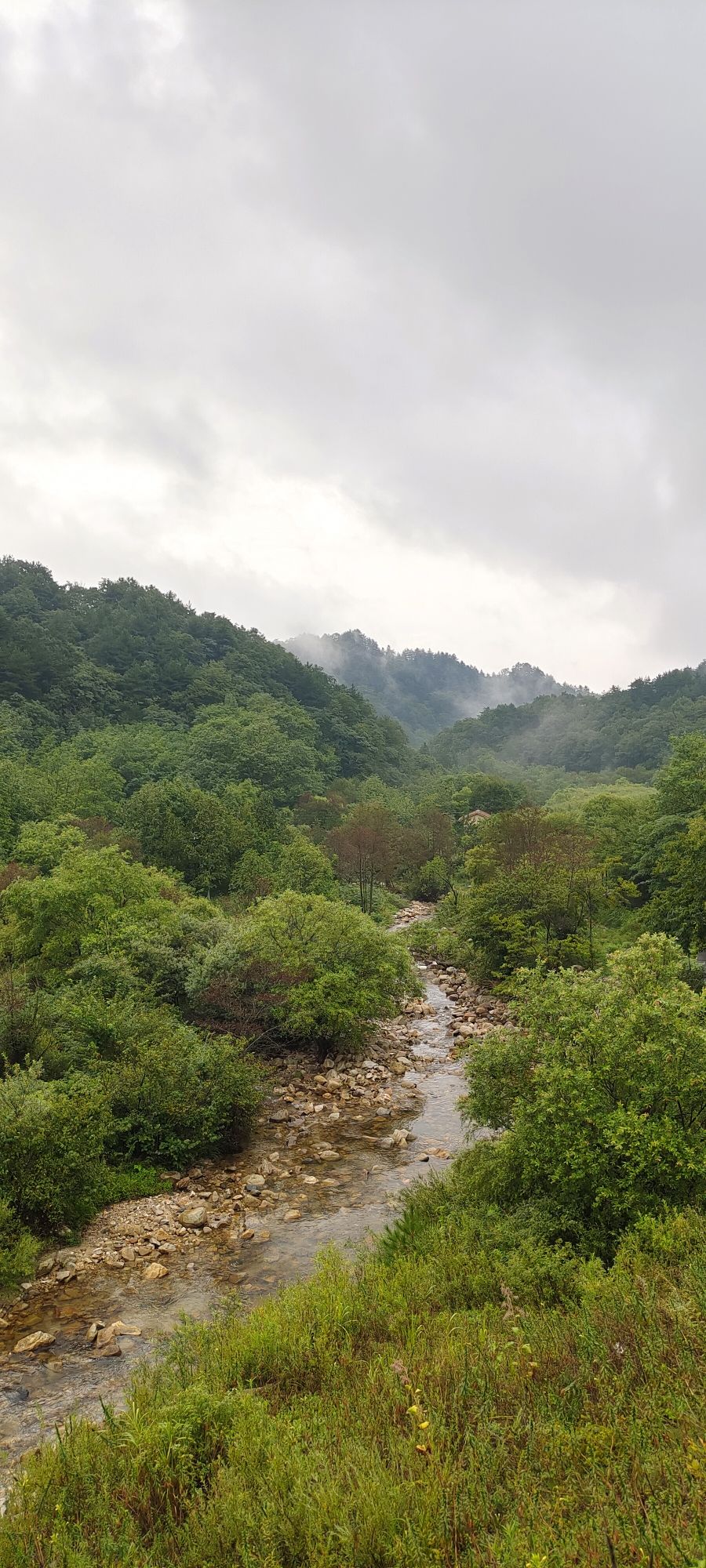 鹞落坪自然保护区旅行图片 2