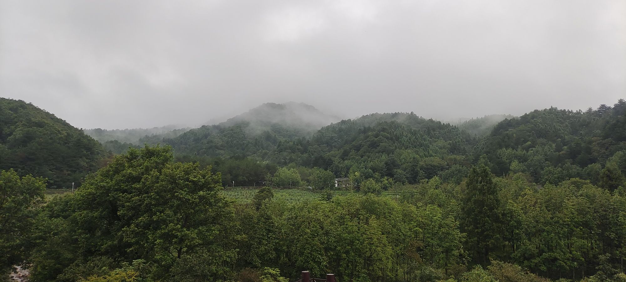 鹞落坪自然保护区旅行图片 3