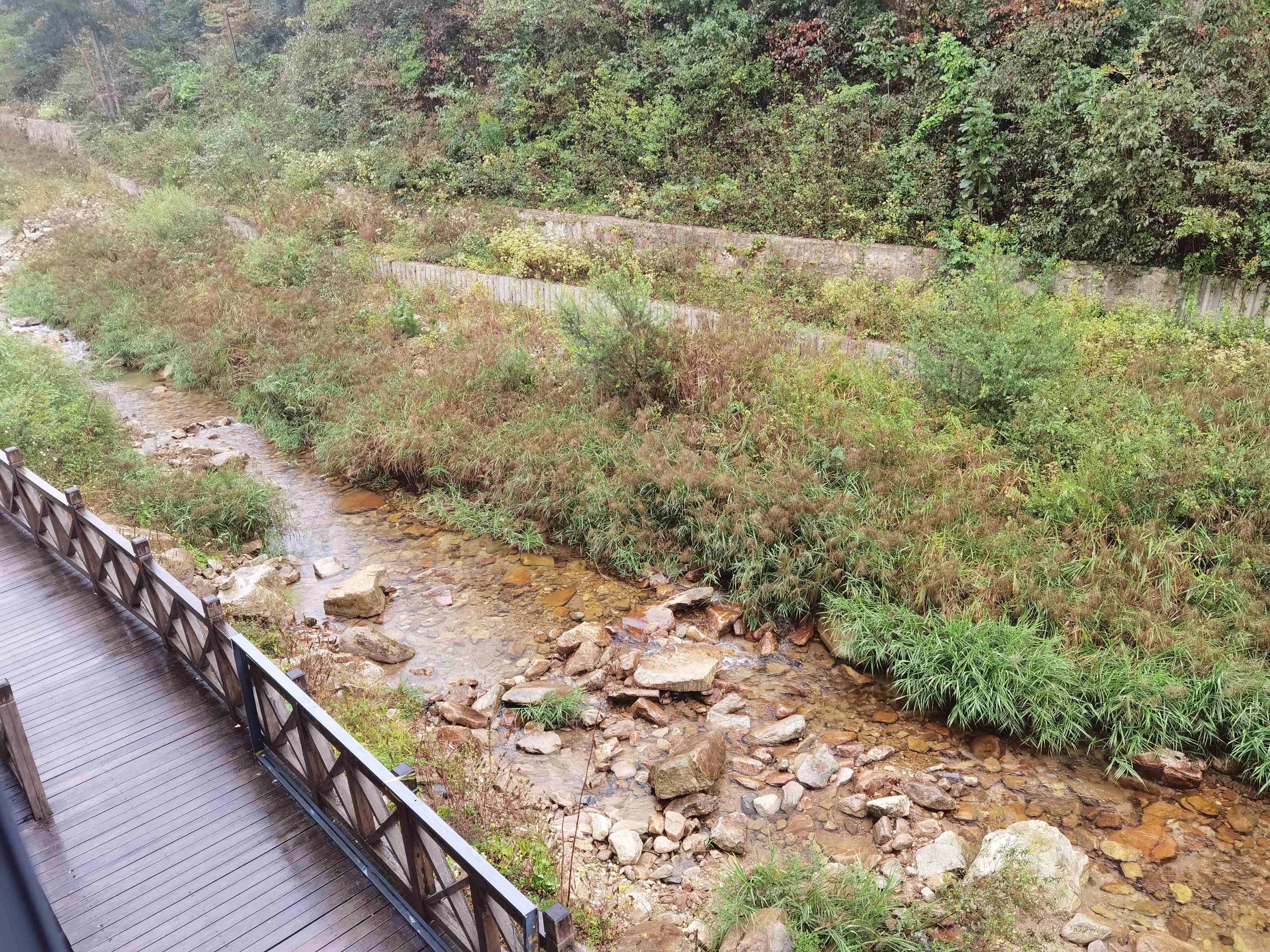鹞落坪自然保护区旅行图片 2