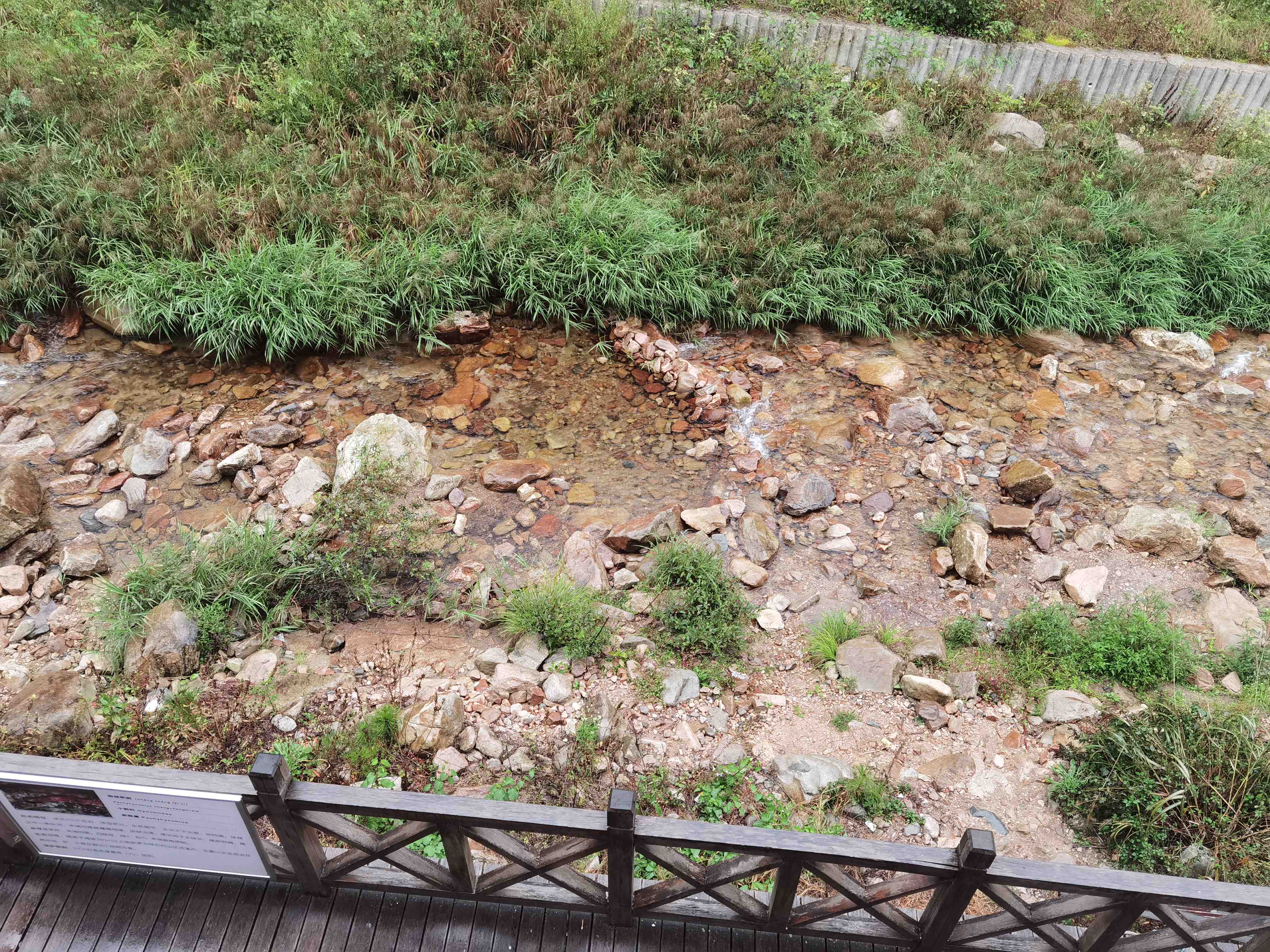 鹞落坪自然保护区旅行图片 1