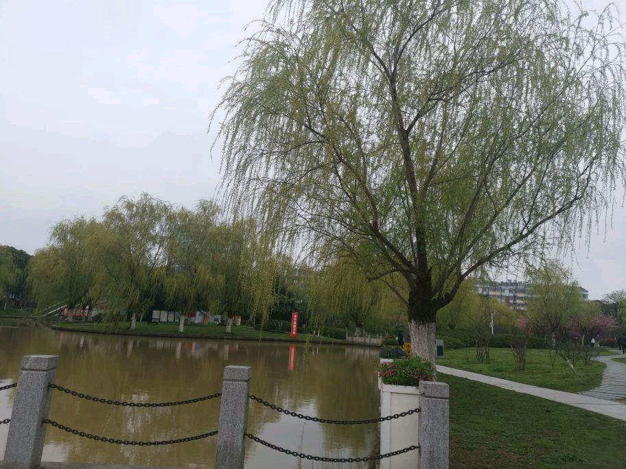独秀公园旅行图片 3