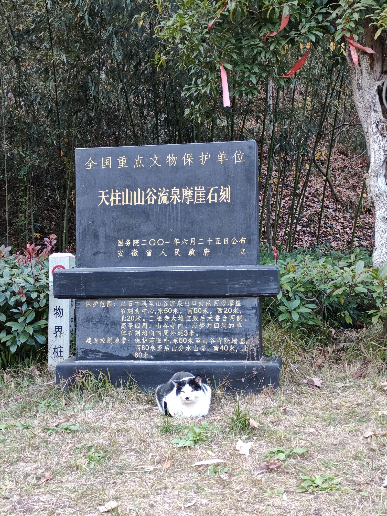 天柱山世界地质公园-山谷流泉摩崖石刻旅行图片 1