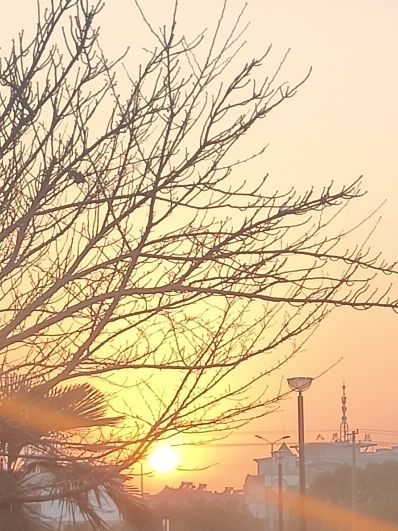 文化广场旅行图片 3