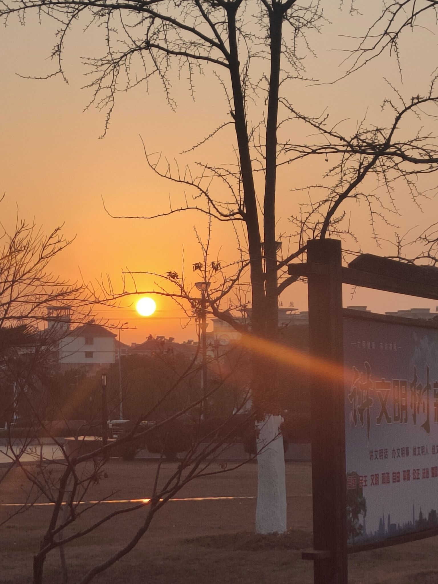 文化广场旅行图片 1