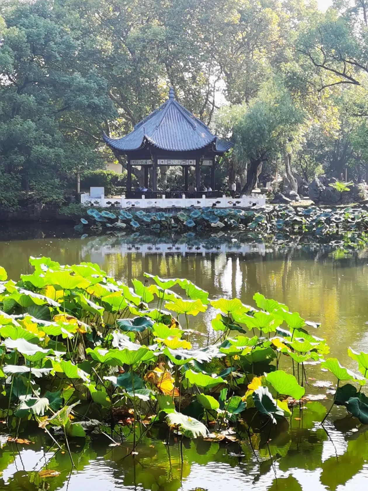 菱湖公园
