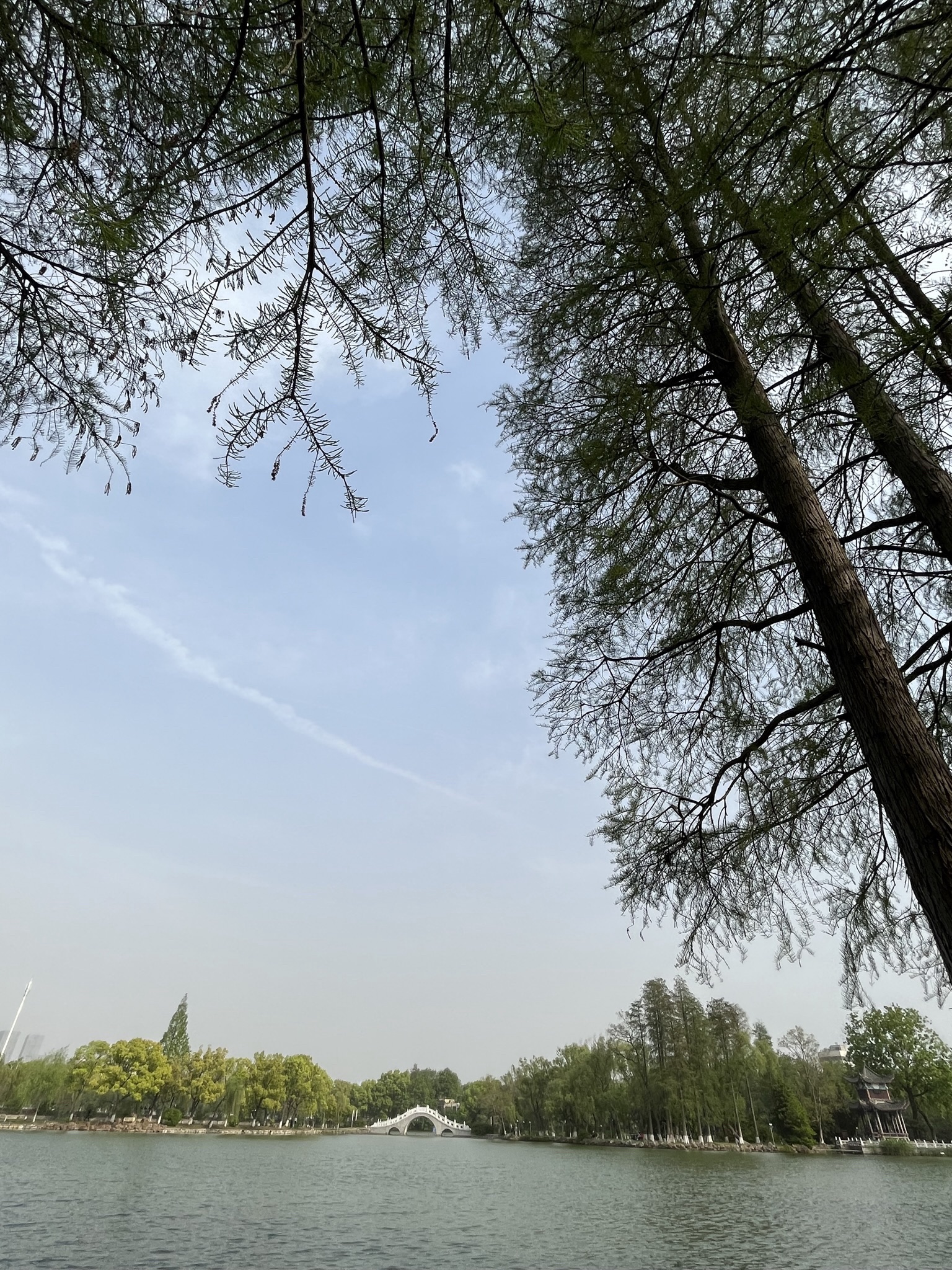 菱湖公园旅行图片 3