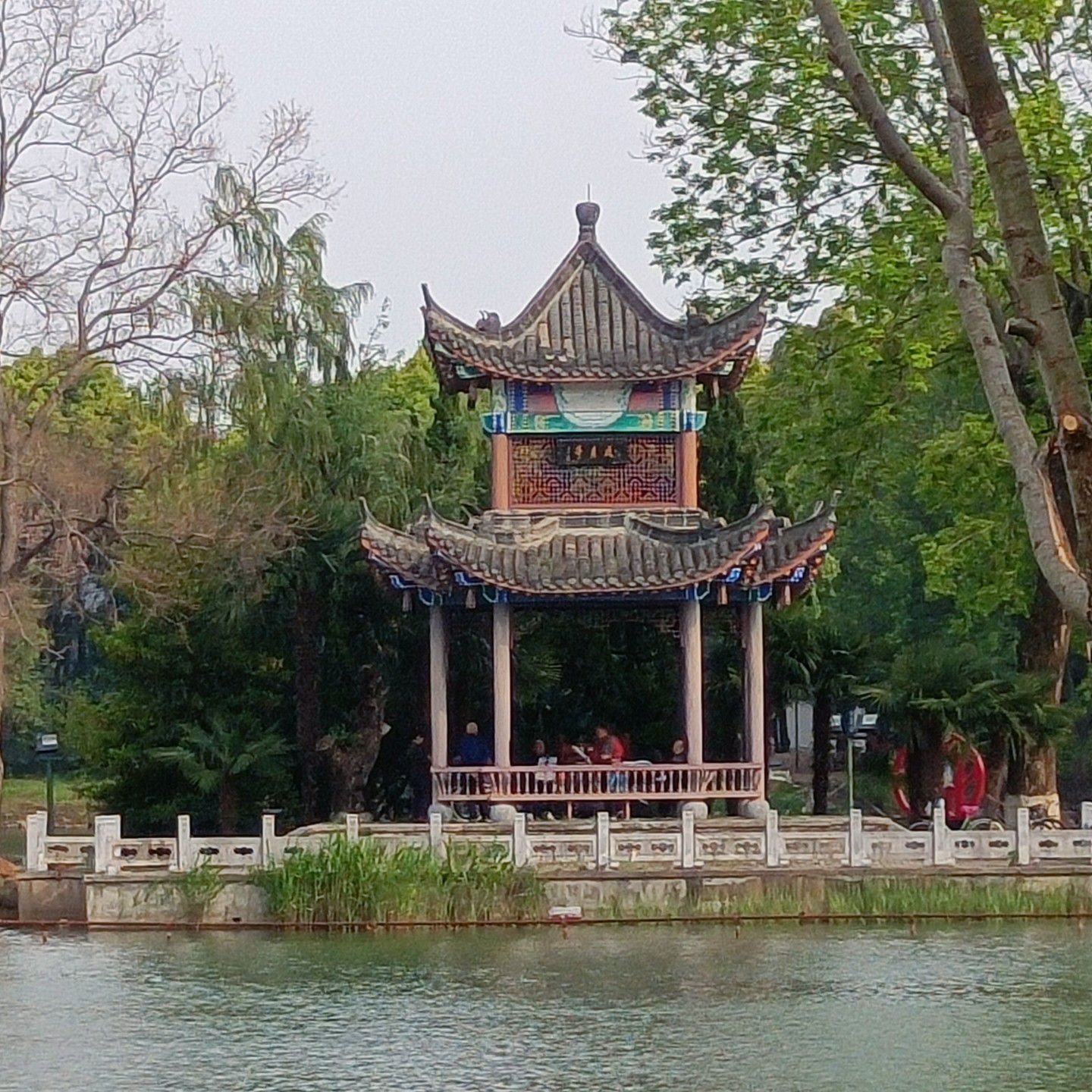 菱湖公园旅行图片 1