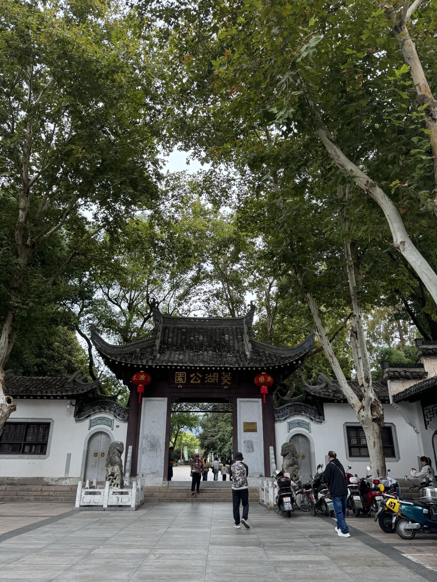 菱湖公园旅行图片 2