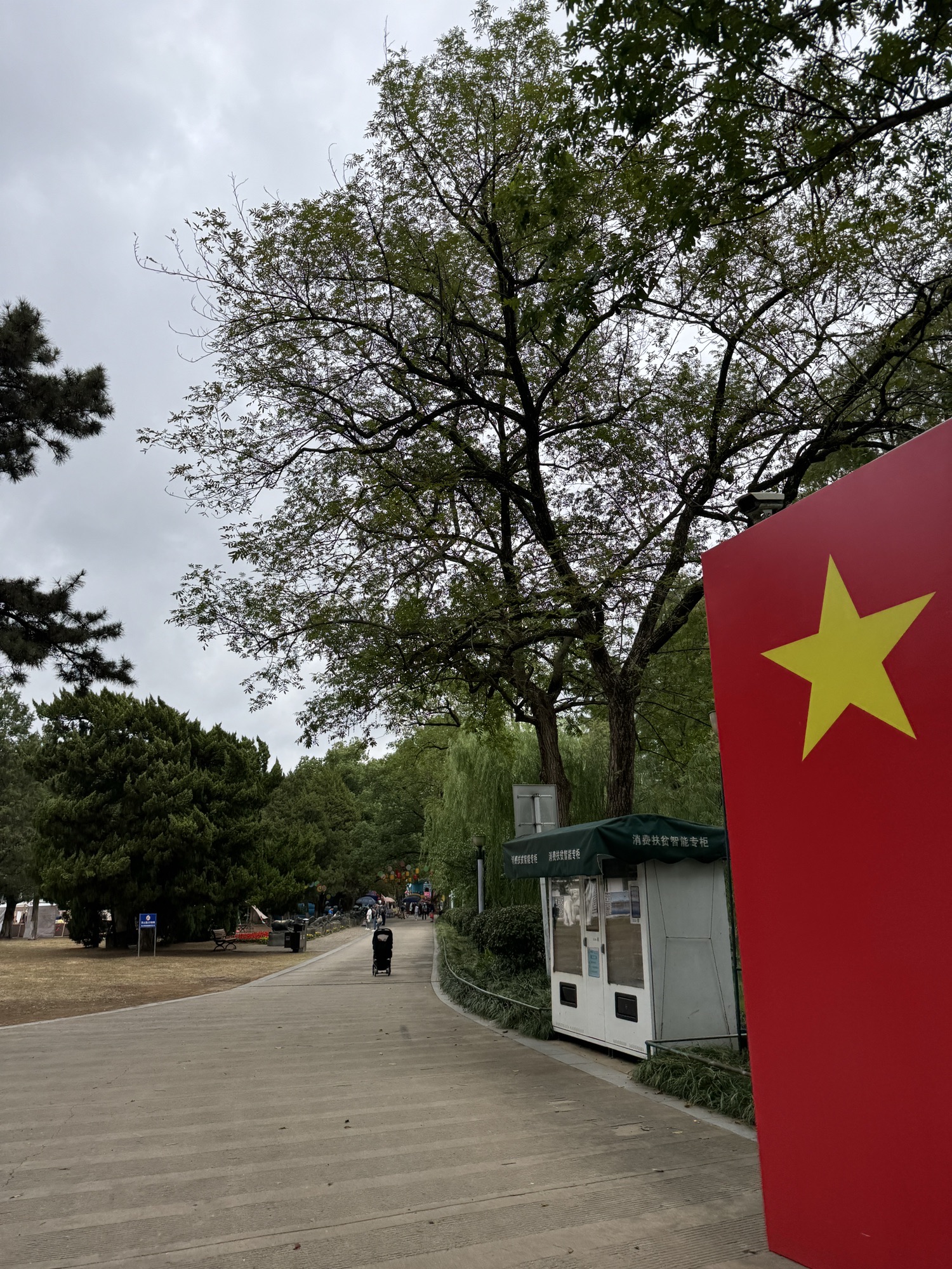 菱湖公园旅行图片 3