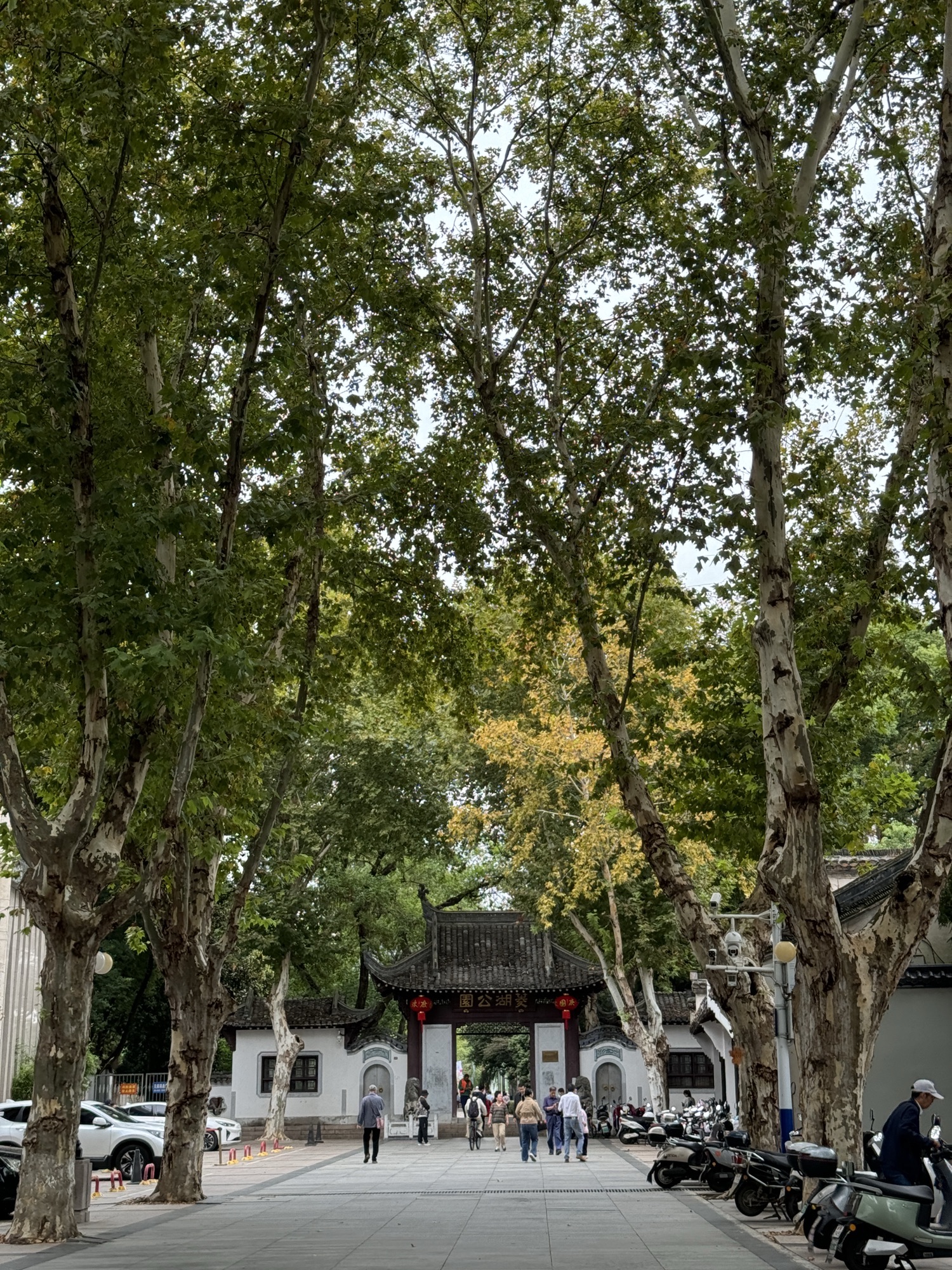 菱湖公园旅行图片 1
