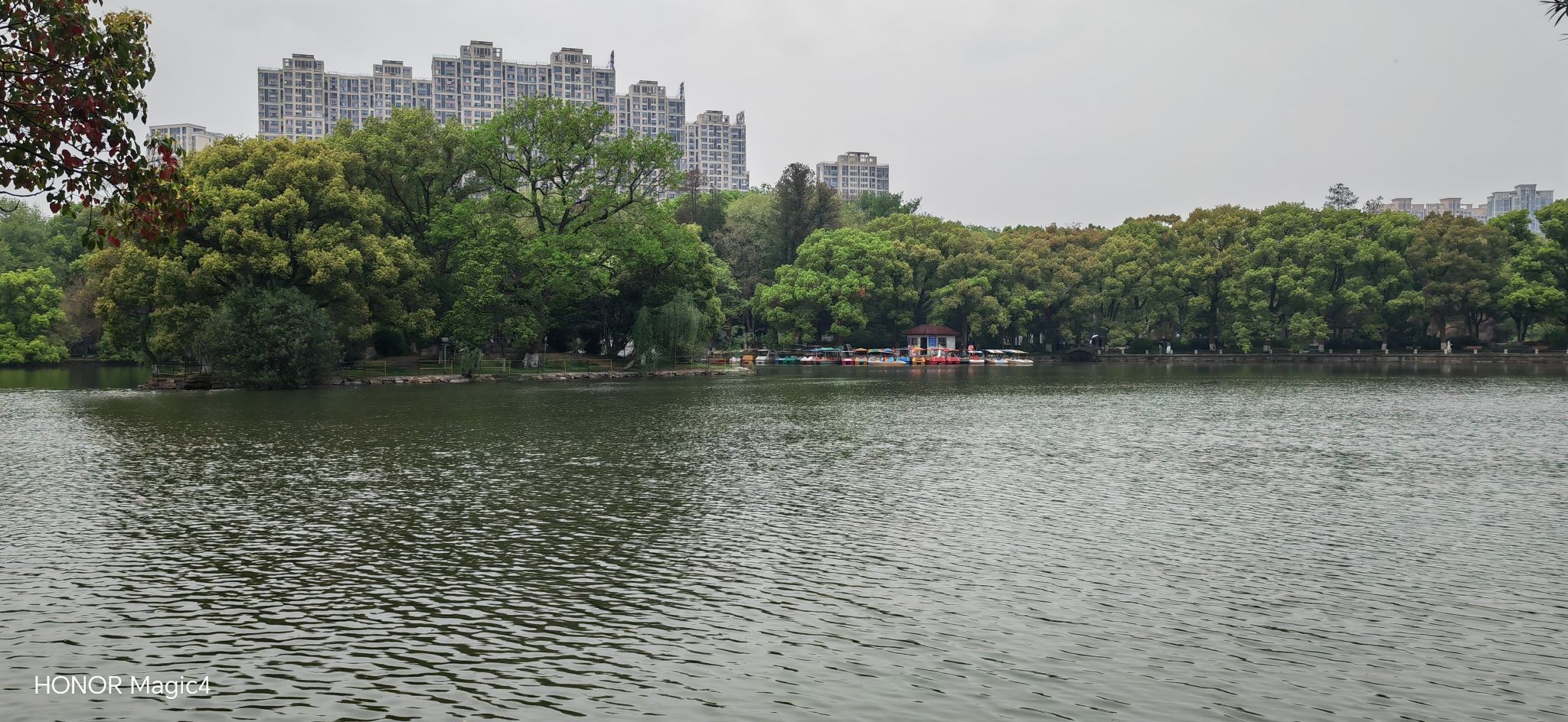 菱湖公园旅行图片 2