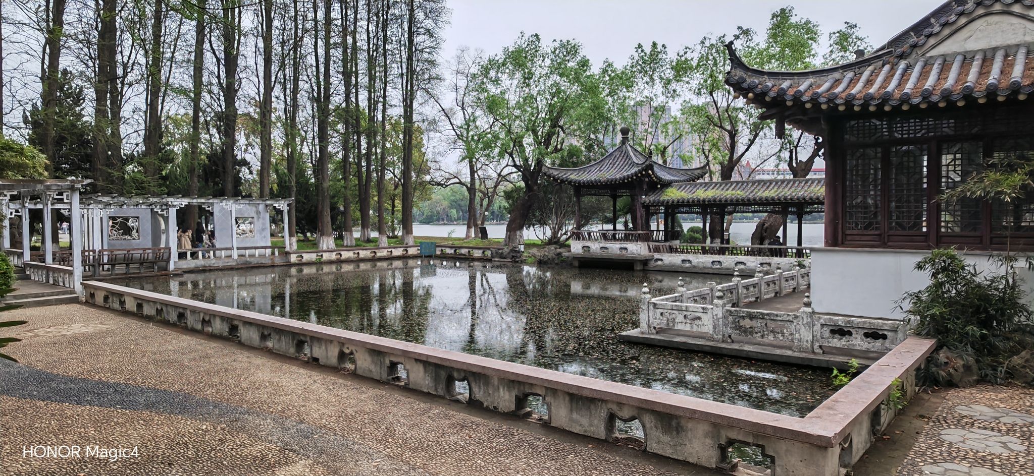 菱湖公园