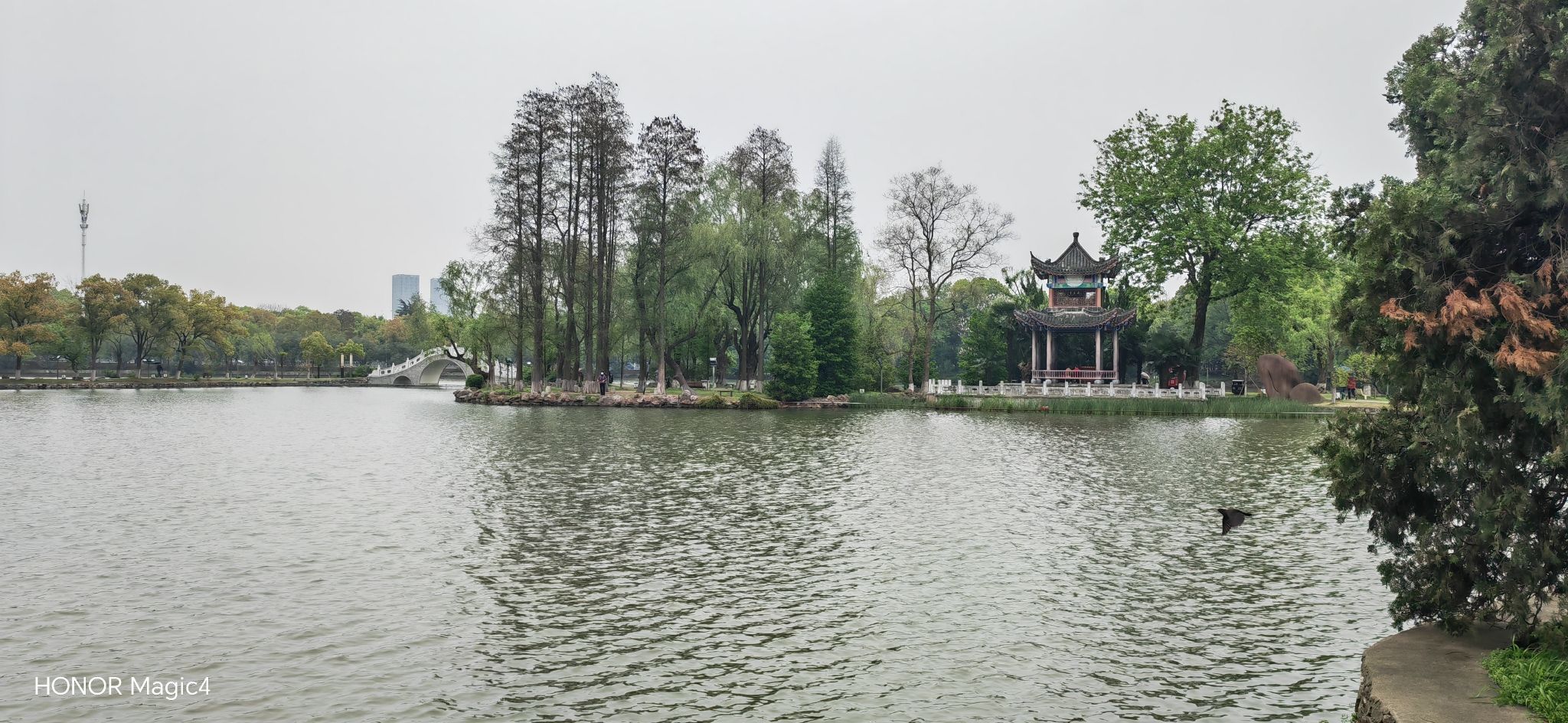 菱湖公园旅行图片 3
