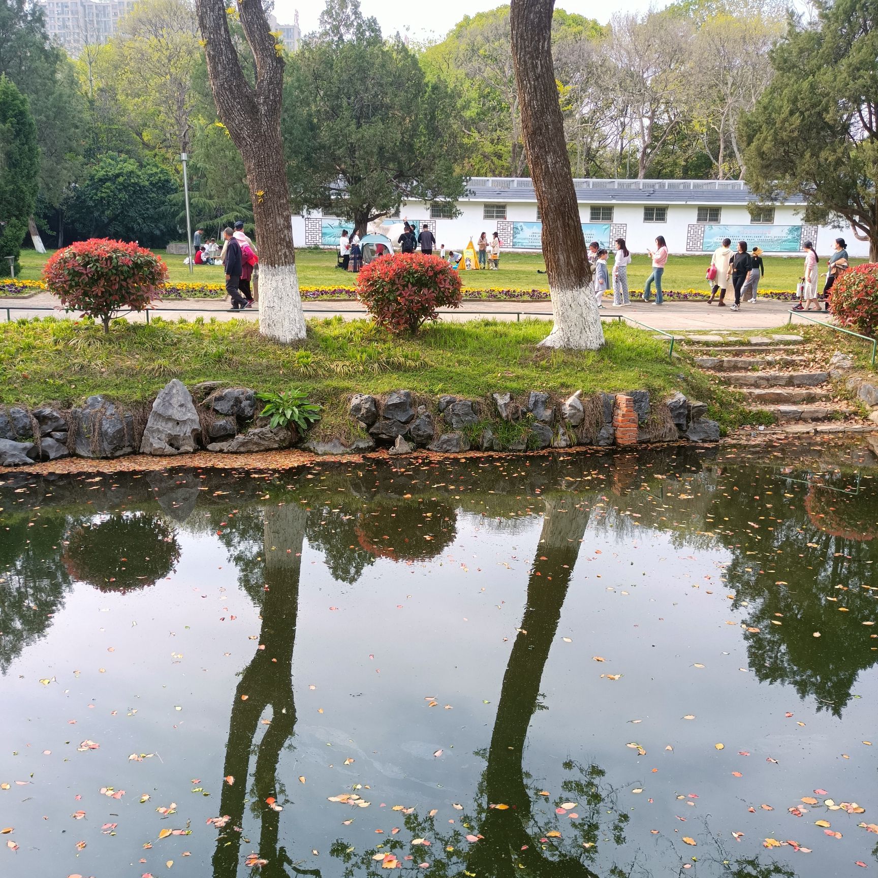 菱湖公园旅行图片 2