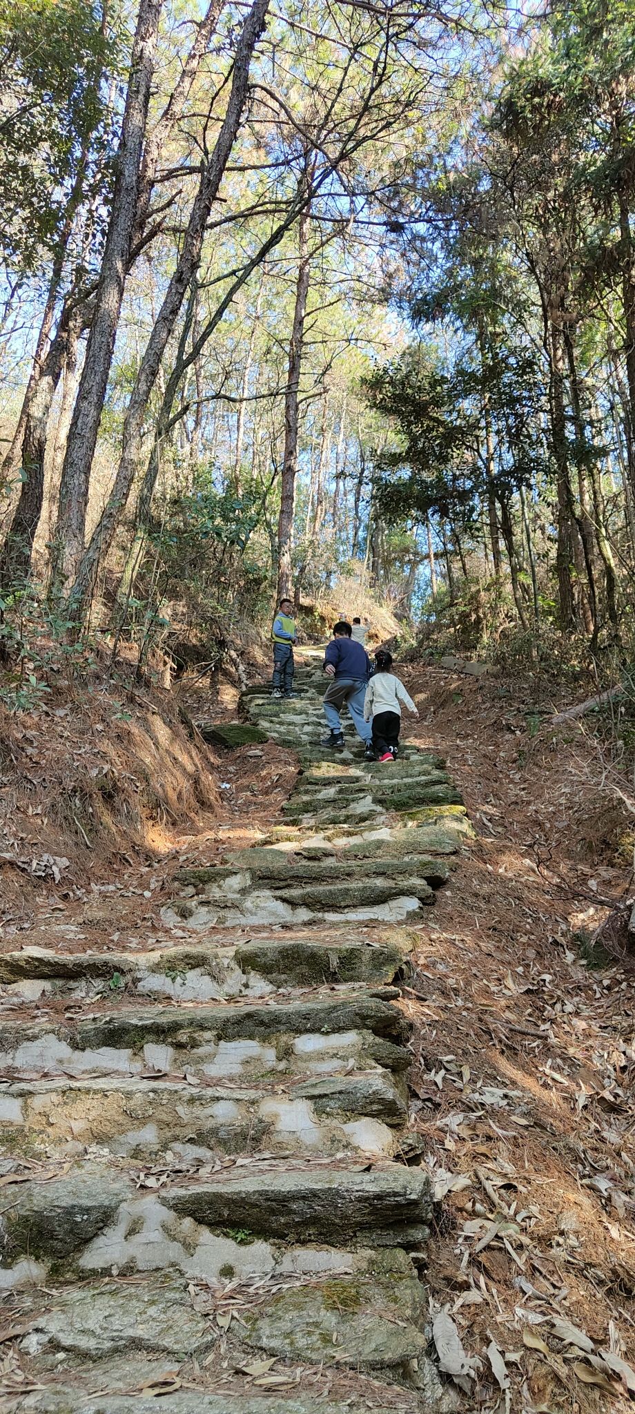 白崖寨旅行图片 3
