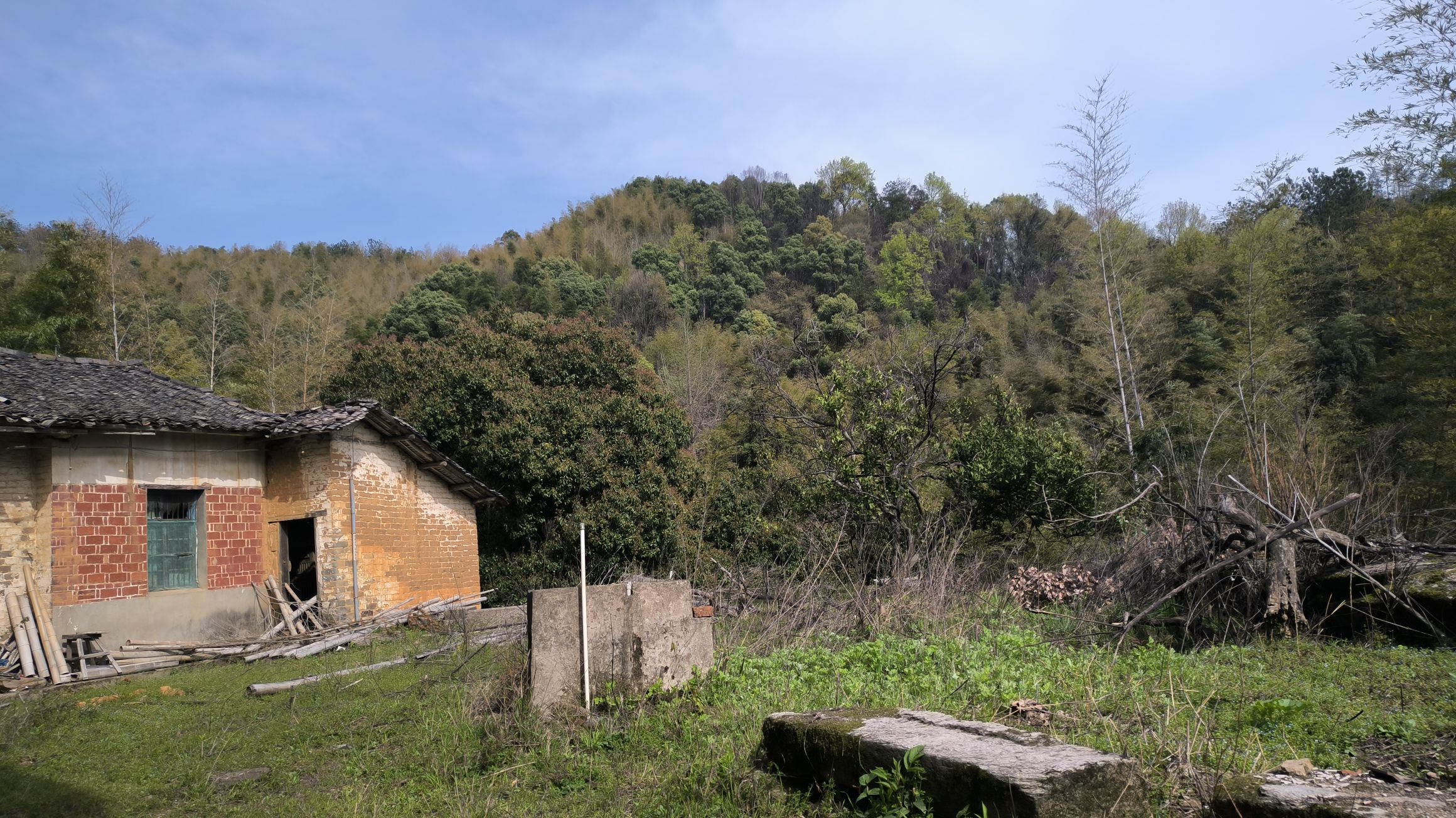白崖寨旅行图片 1