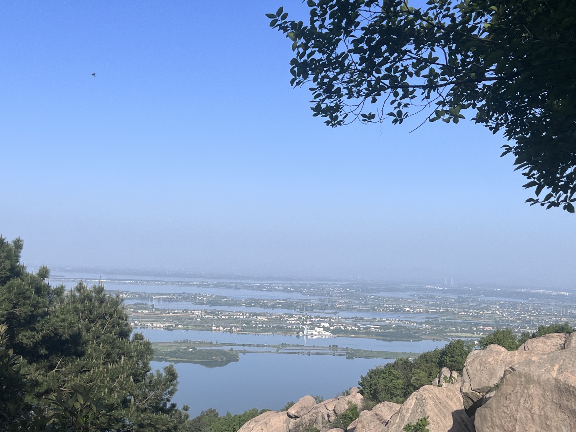灵山石树旅行图片 3
