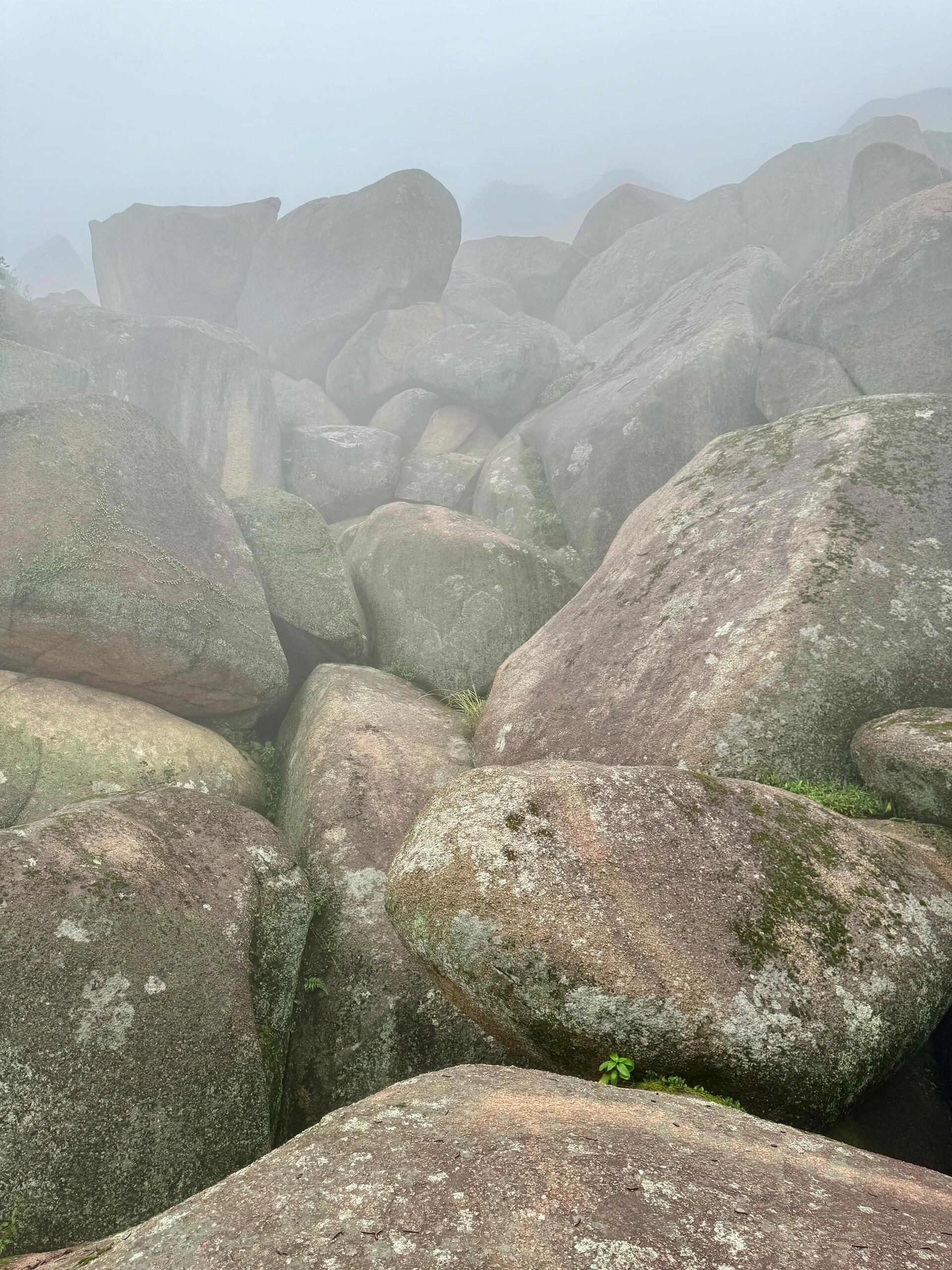 灵山石树旅行图片 3