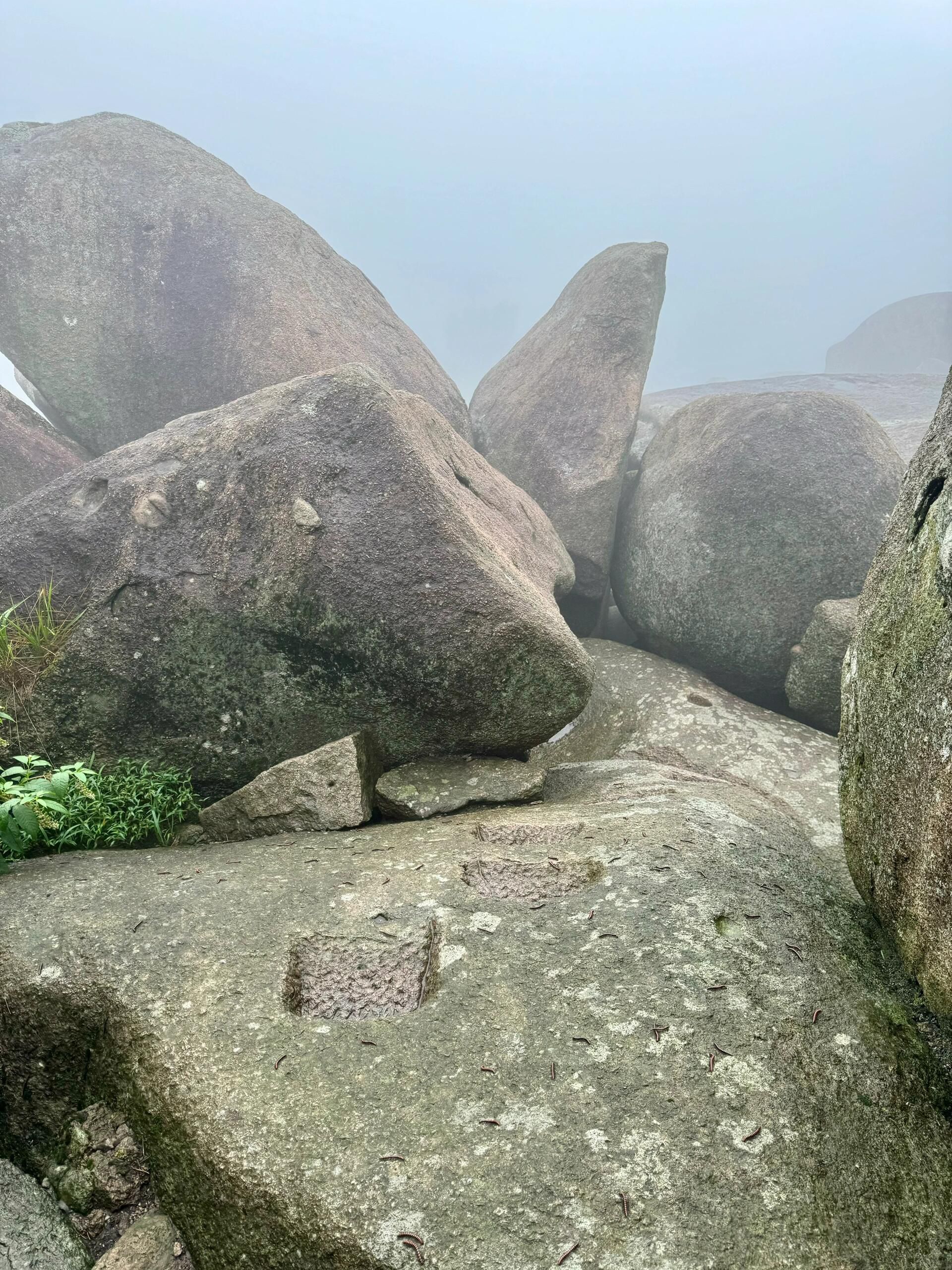 灵山石树旅行图片 2