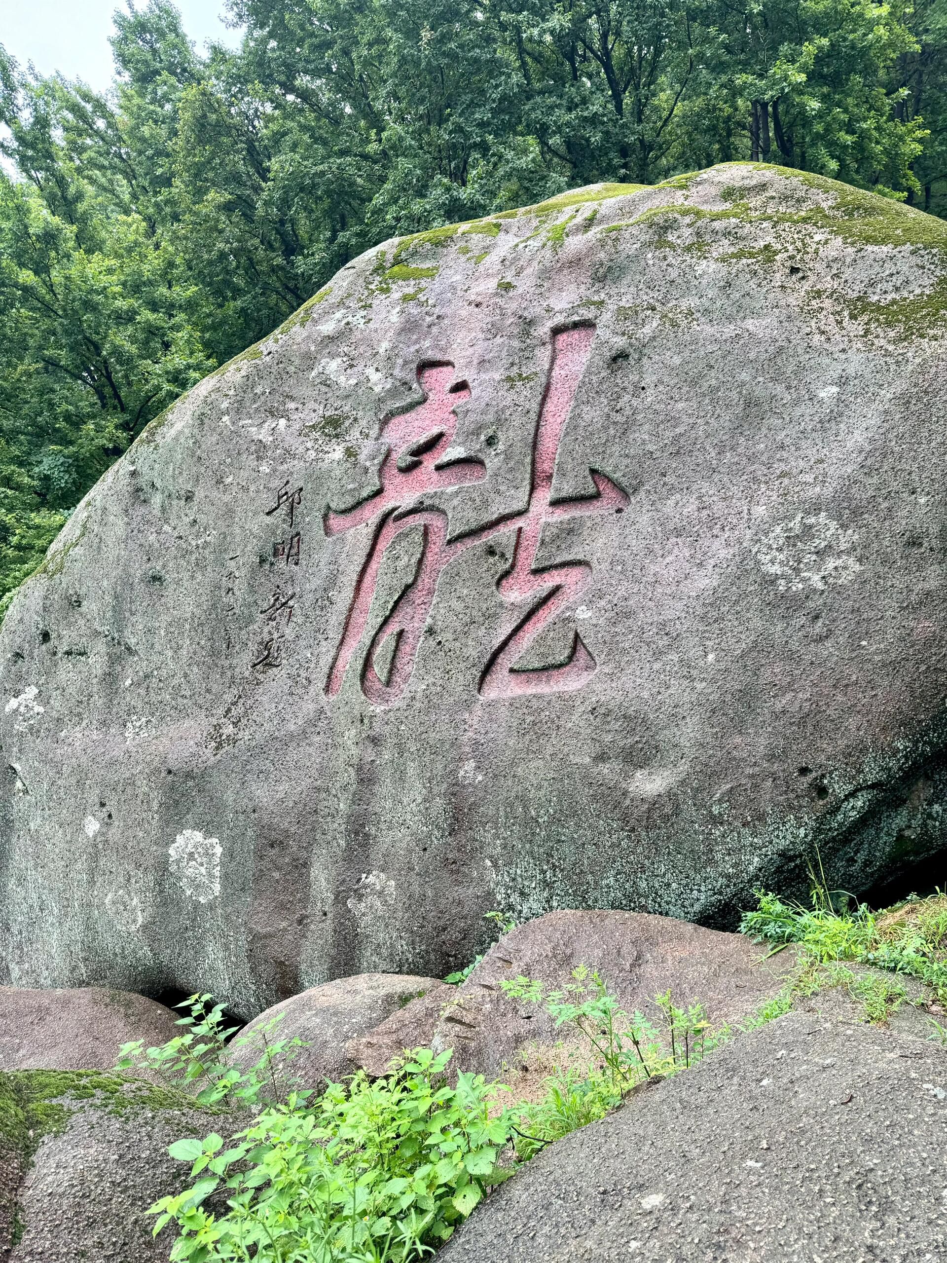 灵山石树旅行图片 1