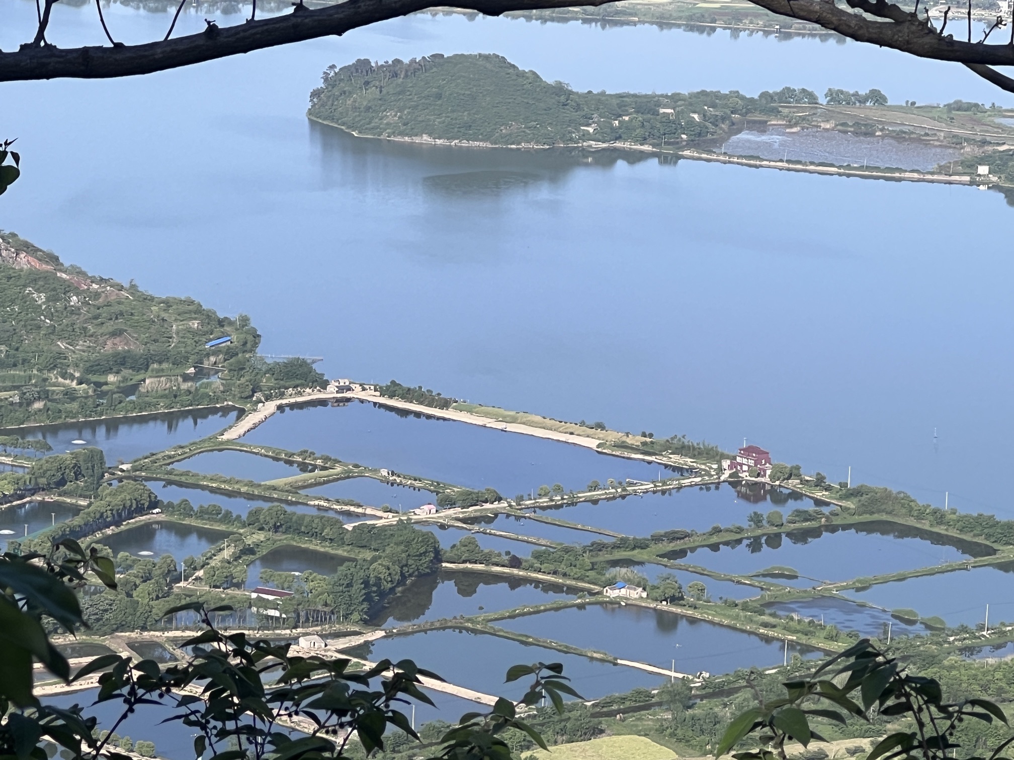 灵山石树旅行图片 2