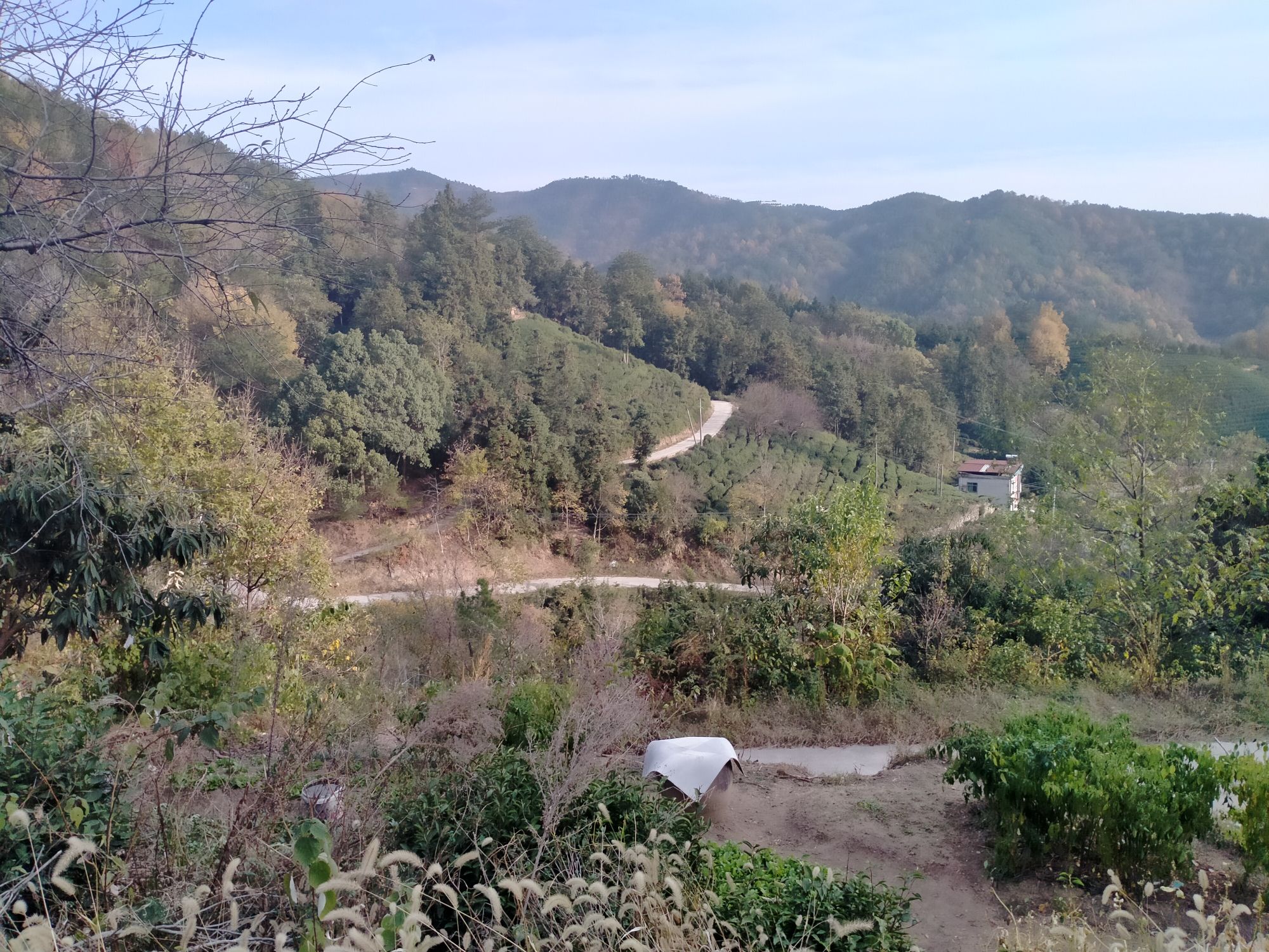 桐城龙眠山风景名胜区旅行图片 2