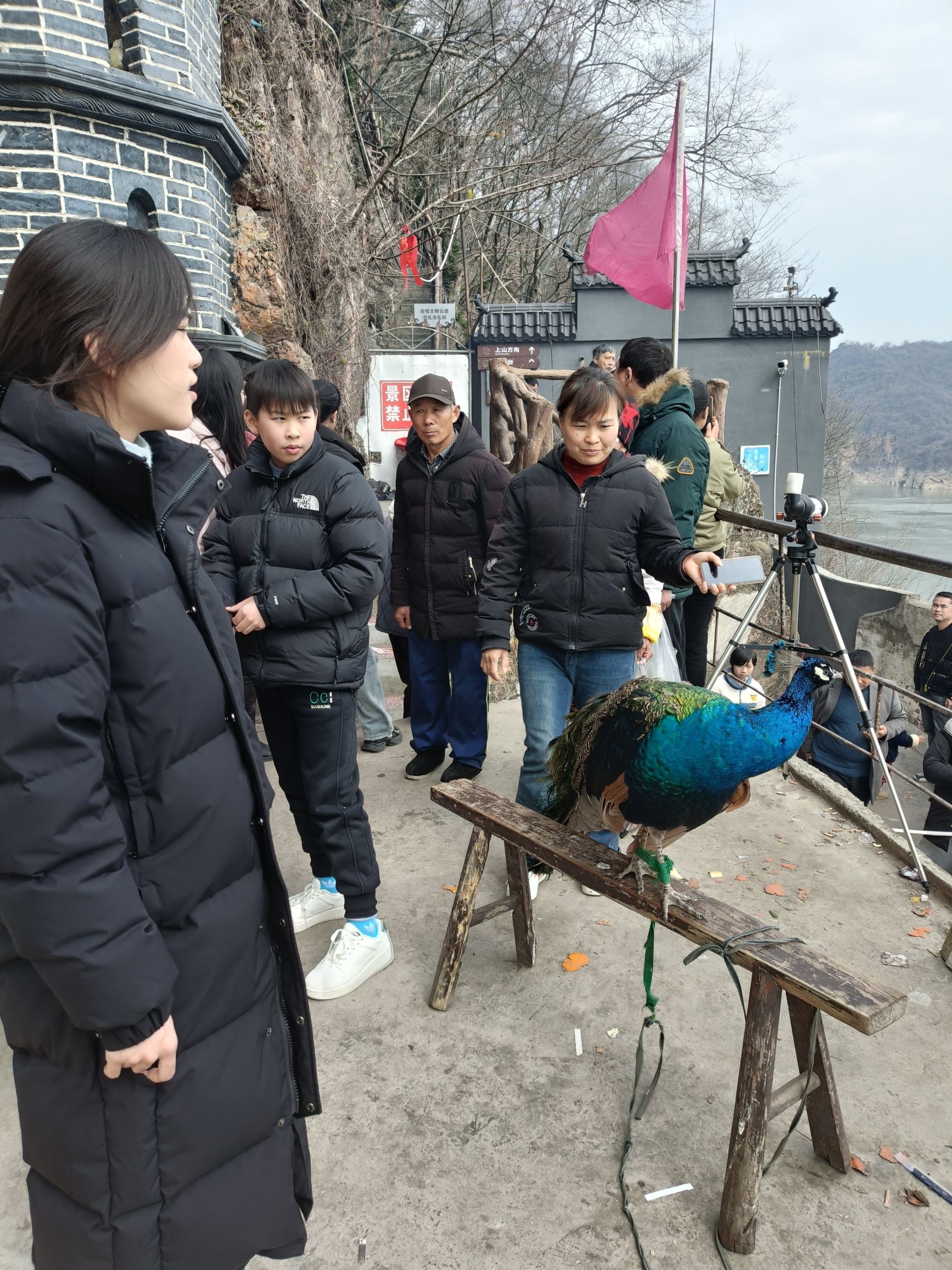 小孤山风景区旅行图片 2