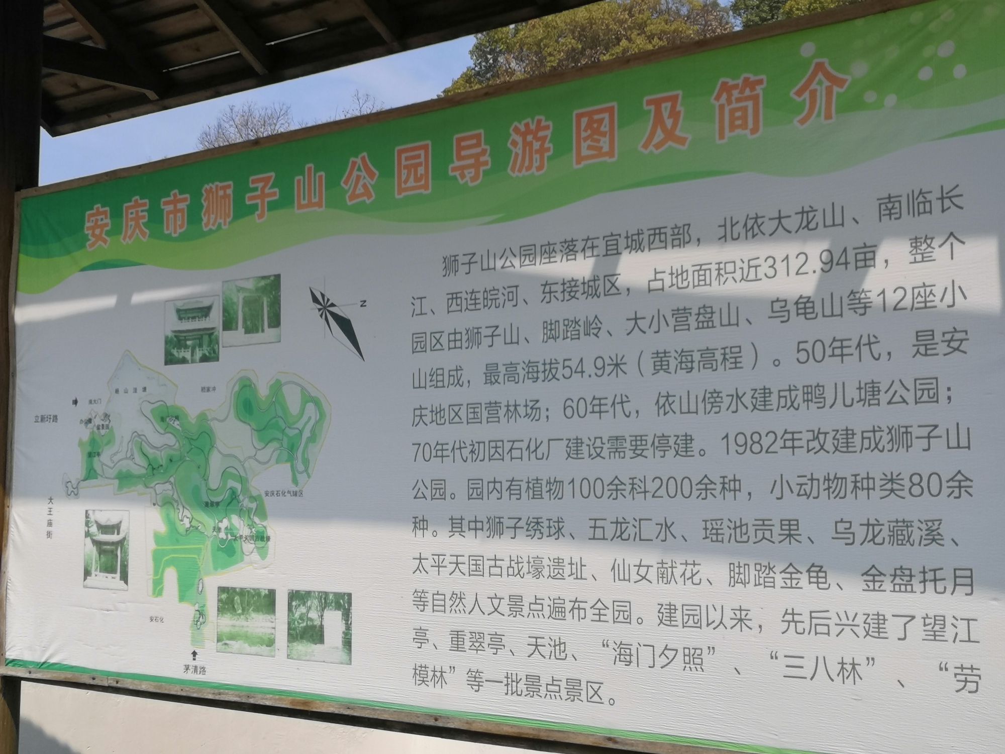 狮子山公园旅行图片 1