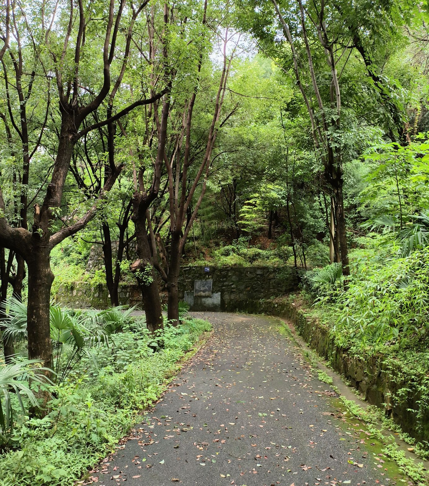 狮子山公园旅行图片 2