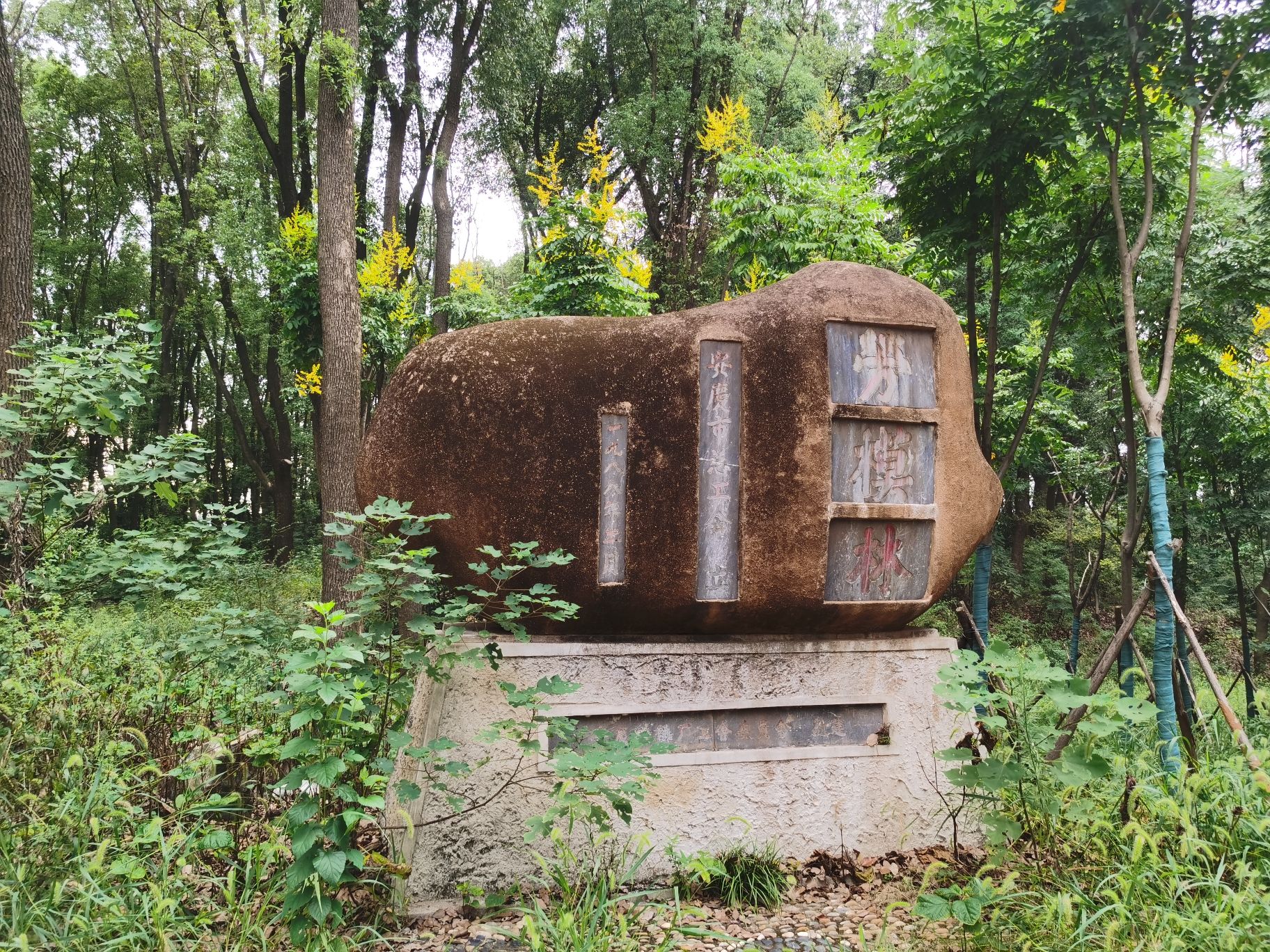狮子山公园旅行图片 3