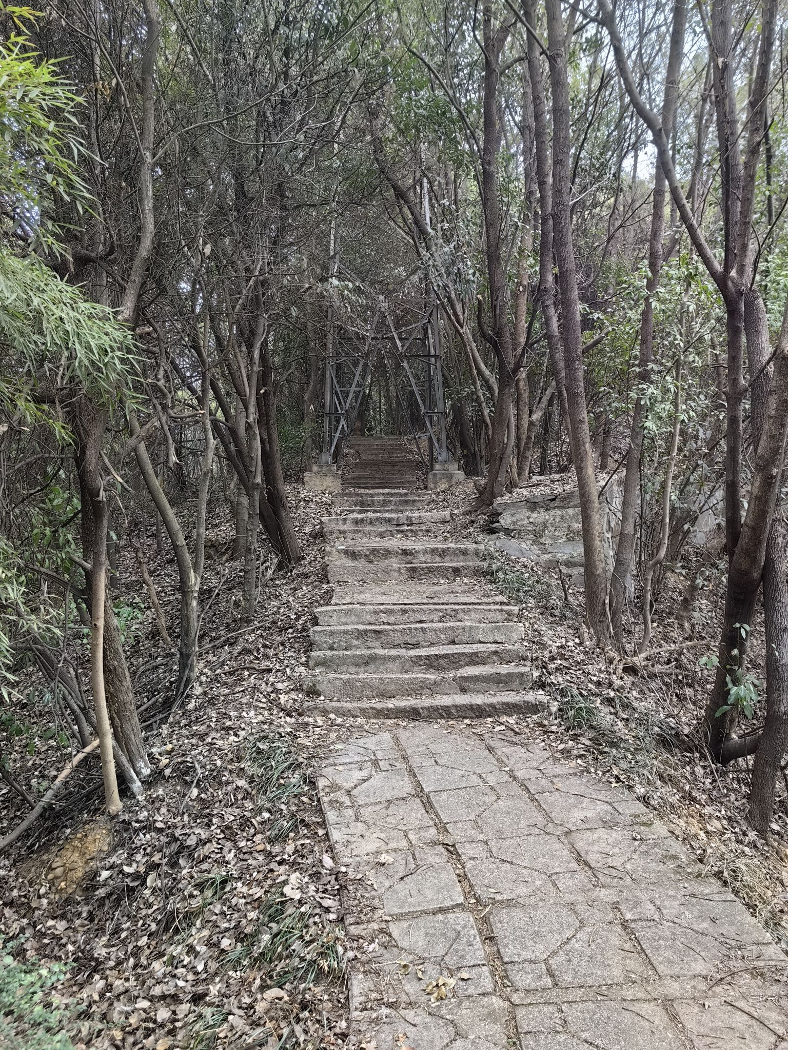 狮子山公园旅行图片 3