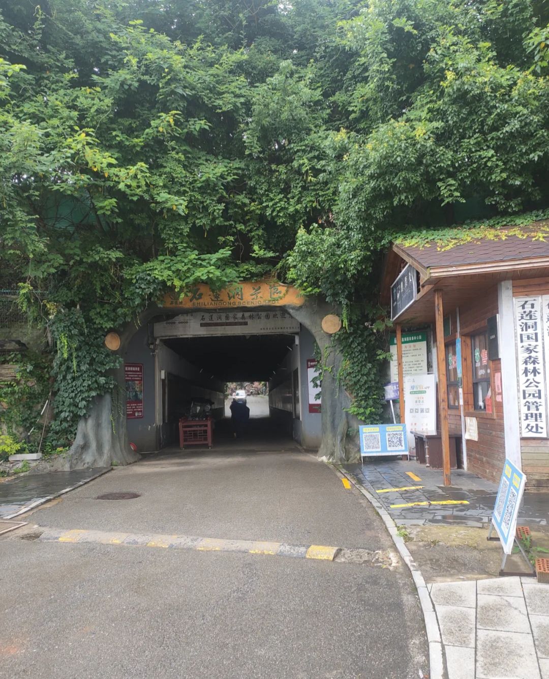石莲洞国家森林公园旅行图片 2