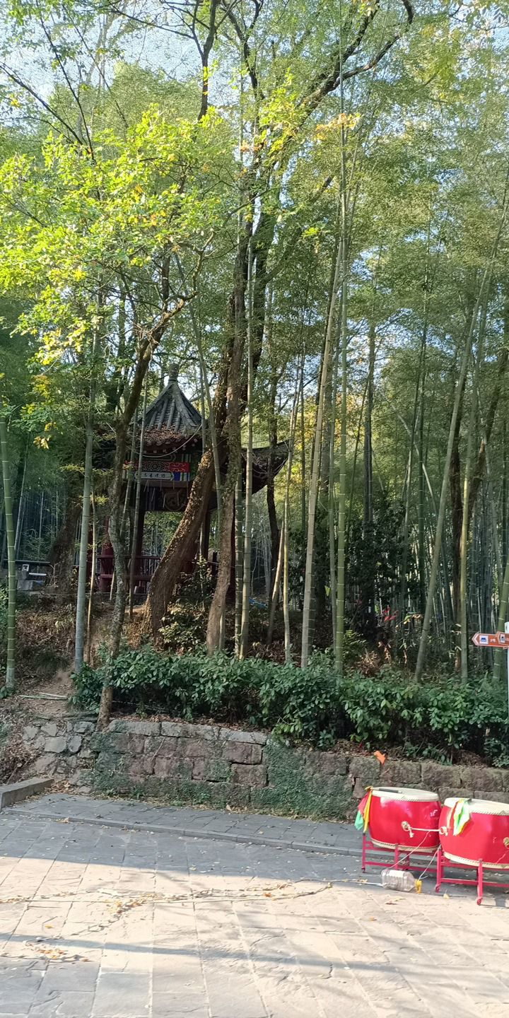 石莲洞国家森林公园旅行图片 2